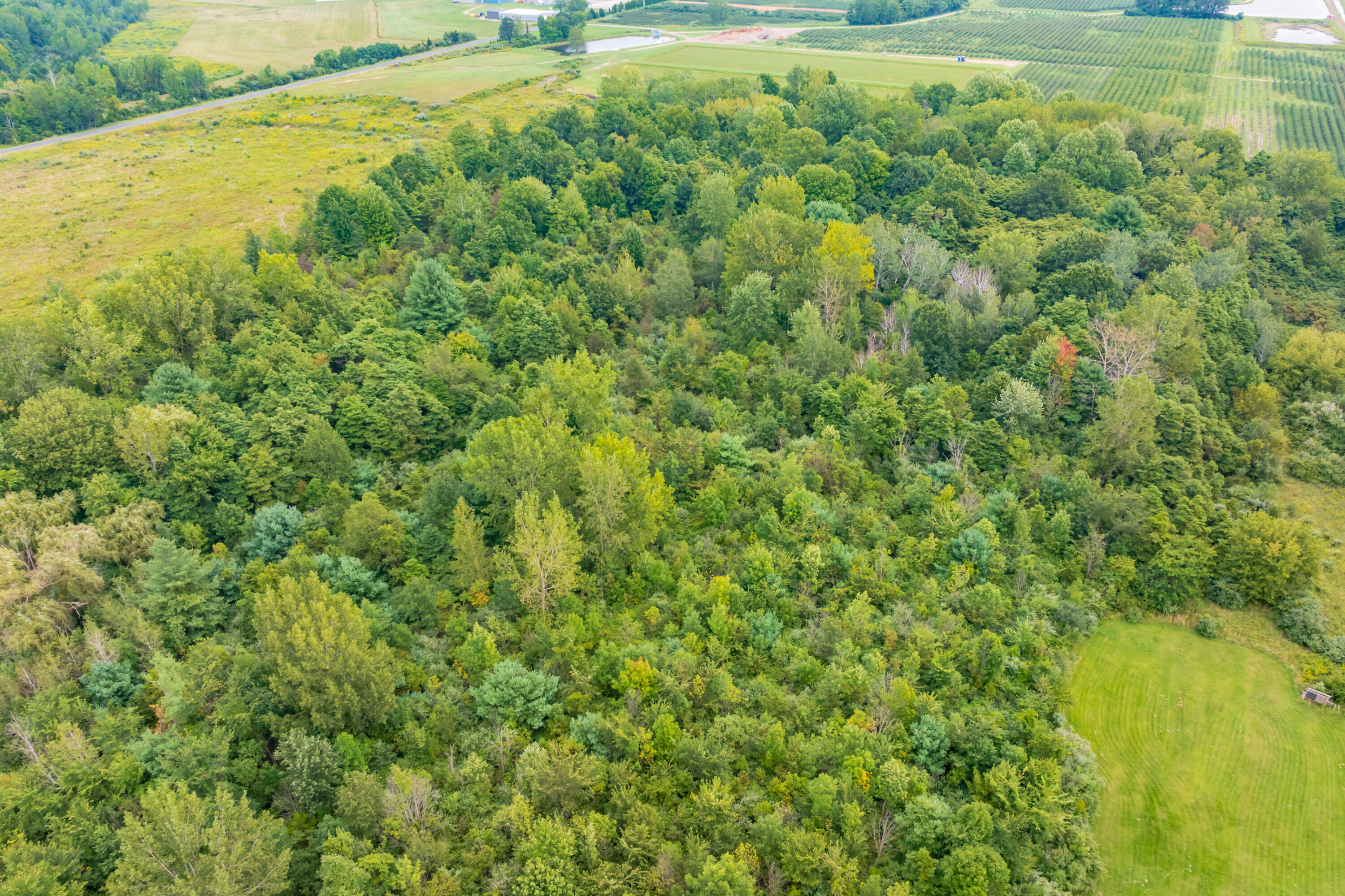 20601 M 140 Highway South Haven MI 49090