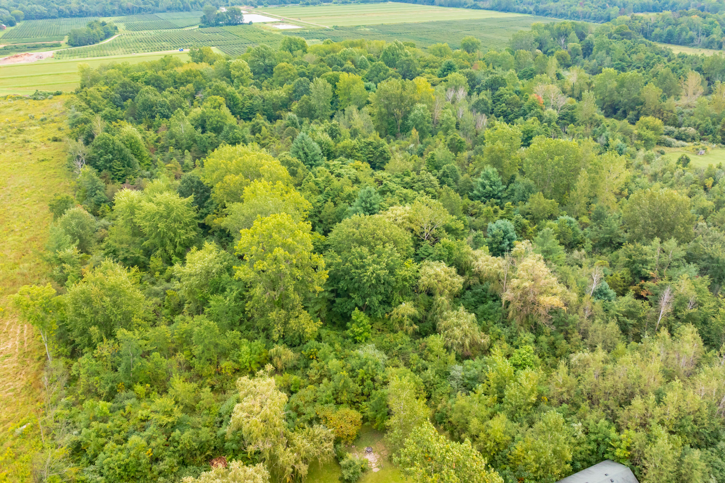 20601 M 140 Highway South Haven MI 49090