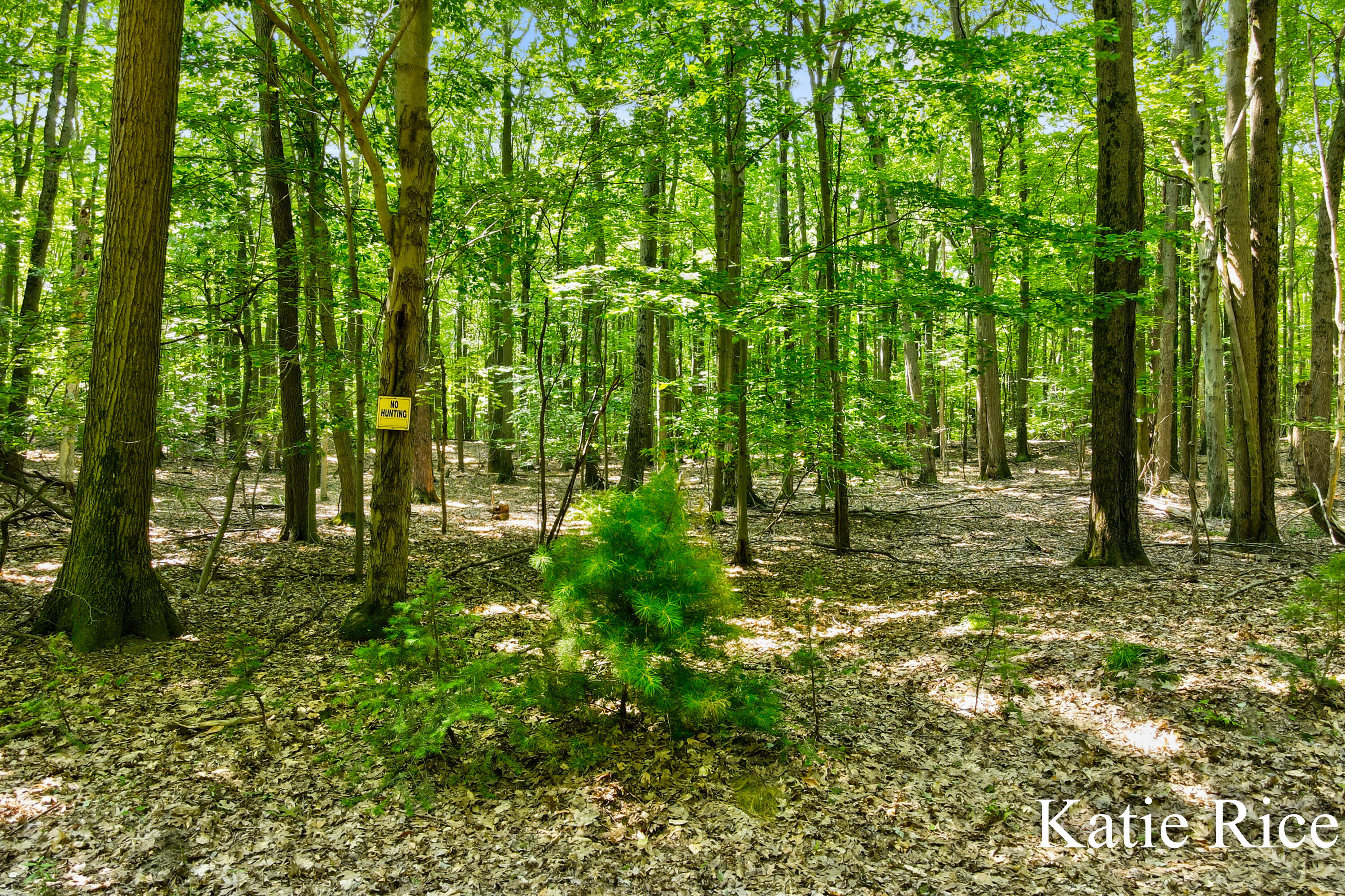 2030 N Scenic Drive Muskegon MI 49445