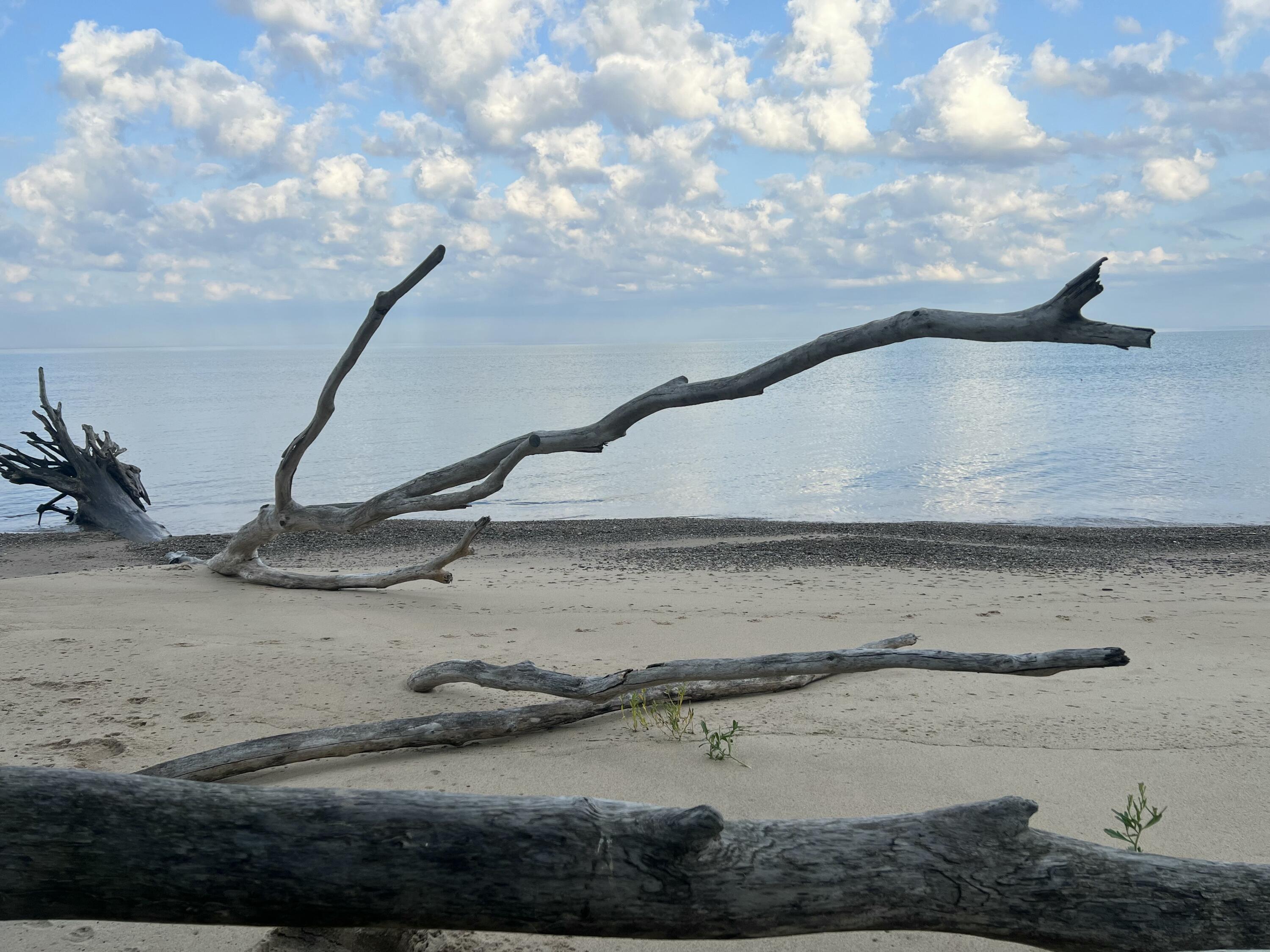 7188 E Beach Drive South Haven MI 49090
