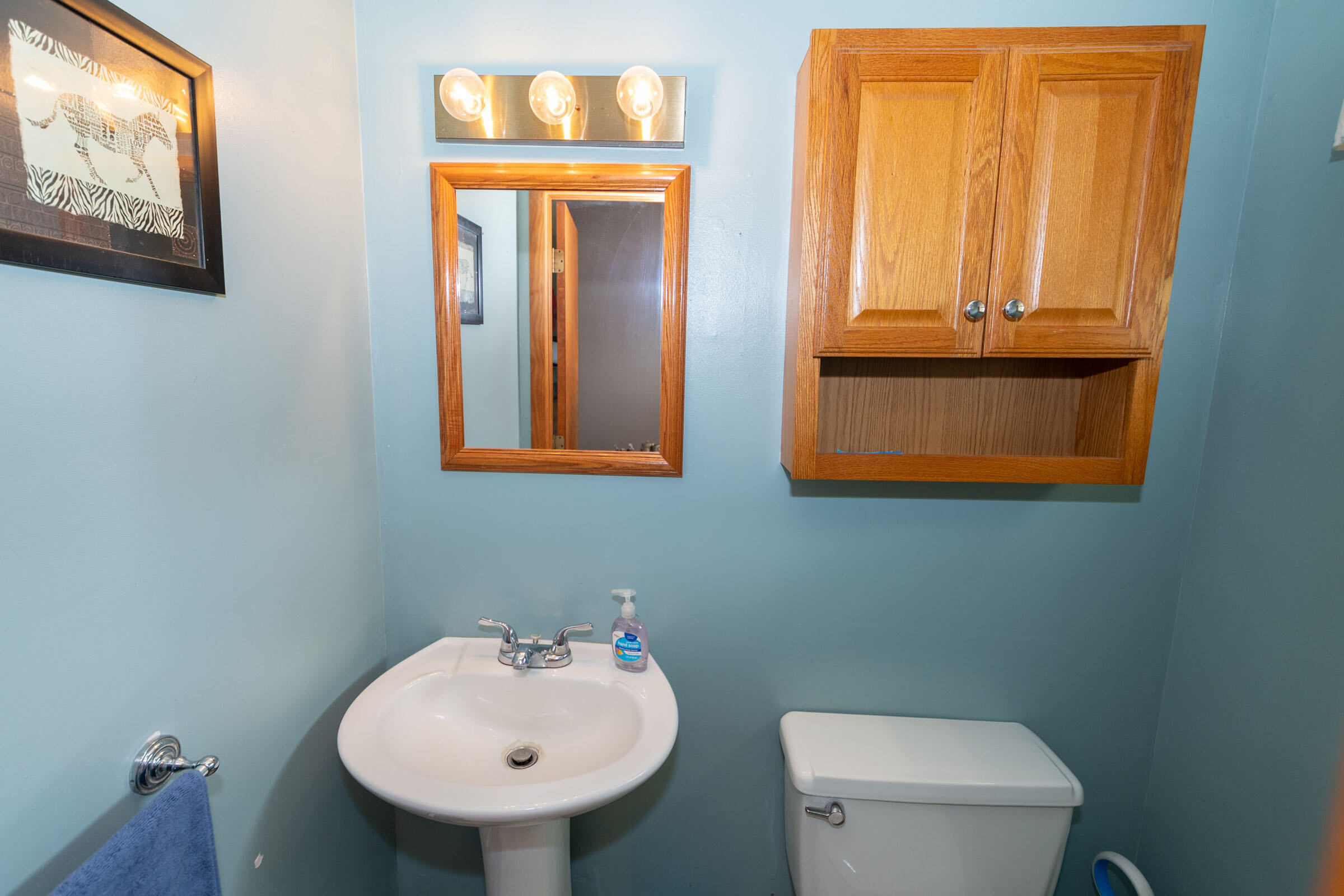 16271 Merson Court Buchanan MI 49107