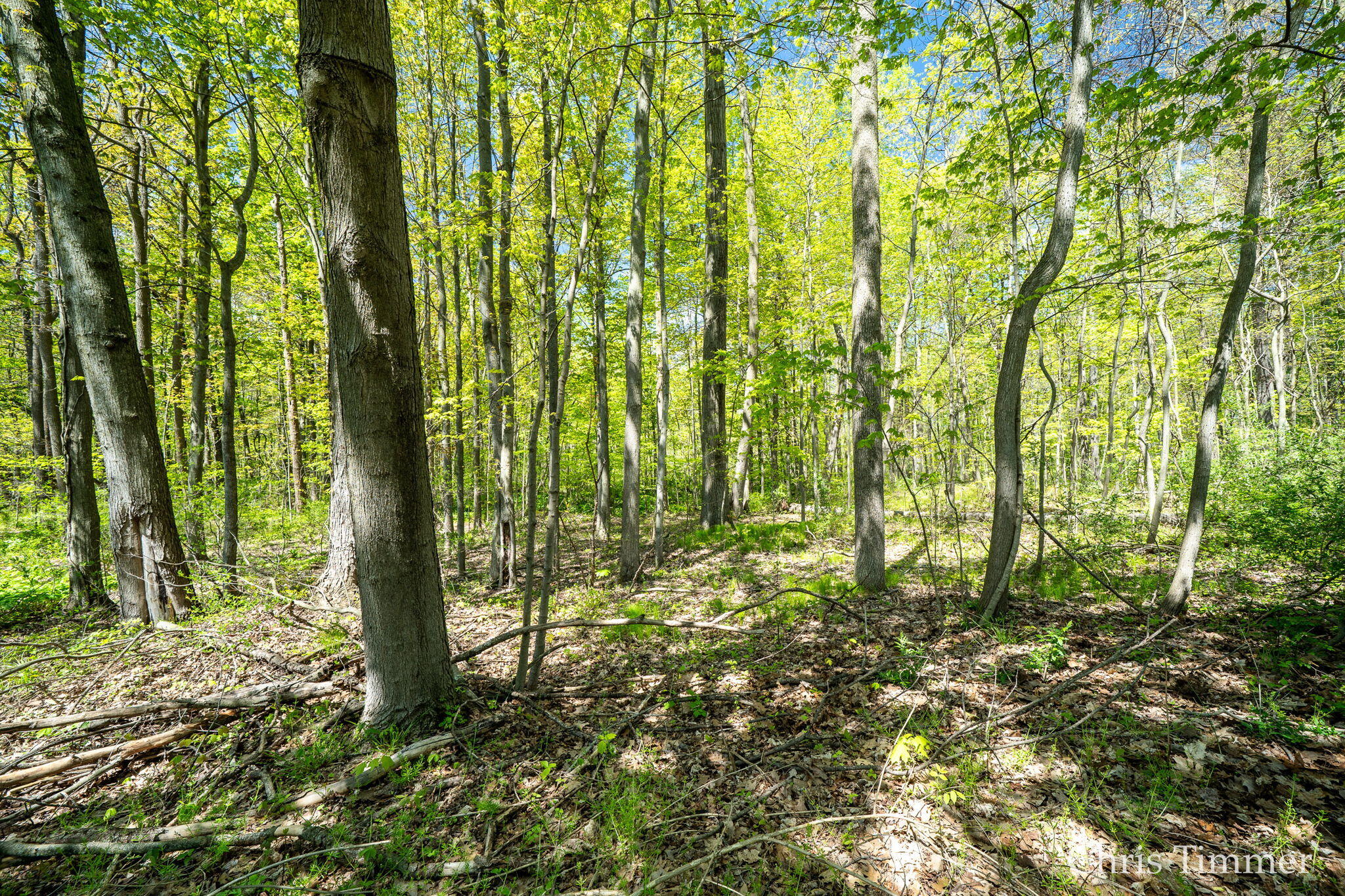 2280 Taft Road Allegan MI 49010