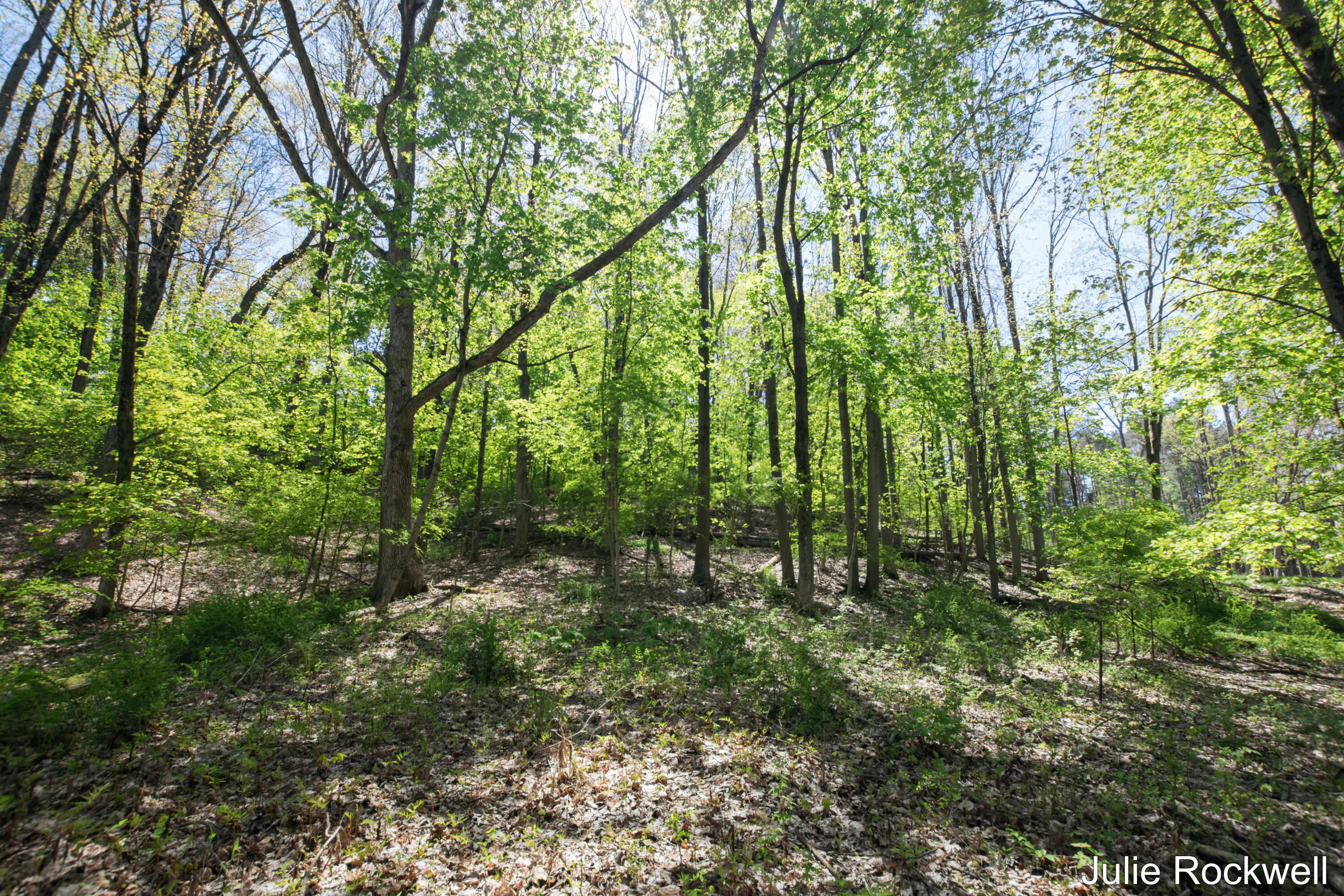 6050 Grand River Drive NE Ada MI 49301