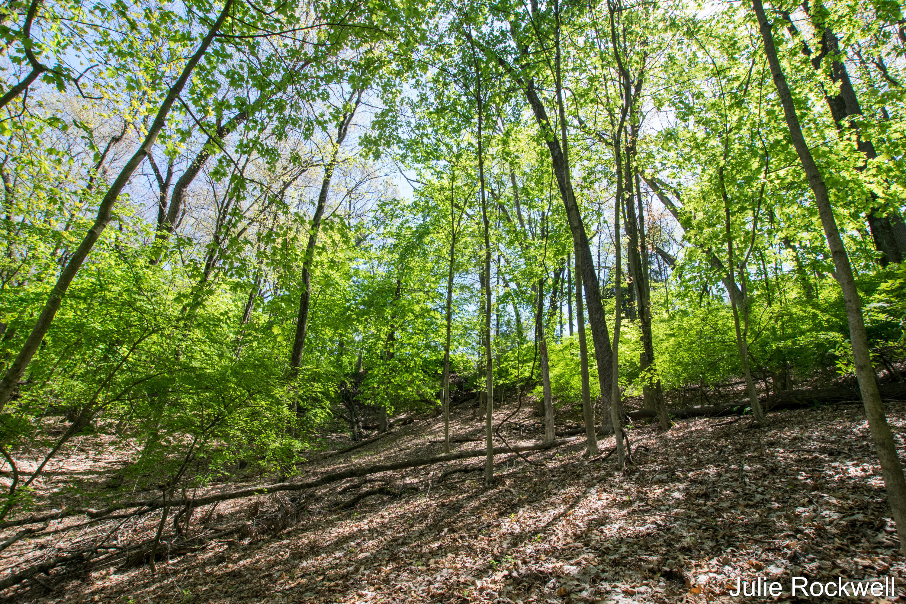 6050 Grand River Drive NE Ada MI 49301