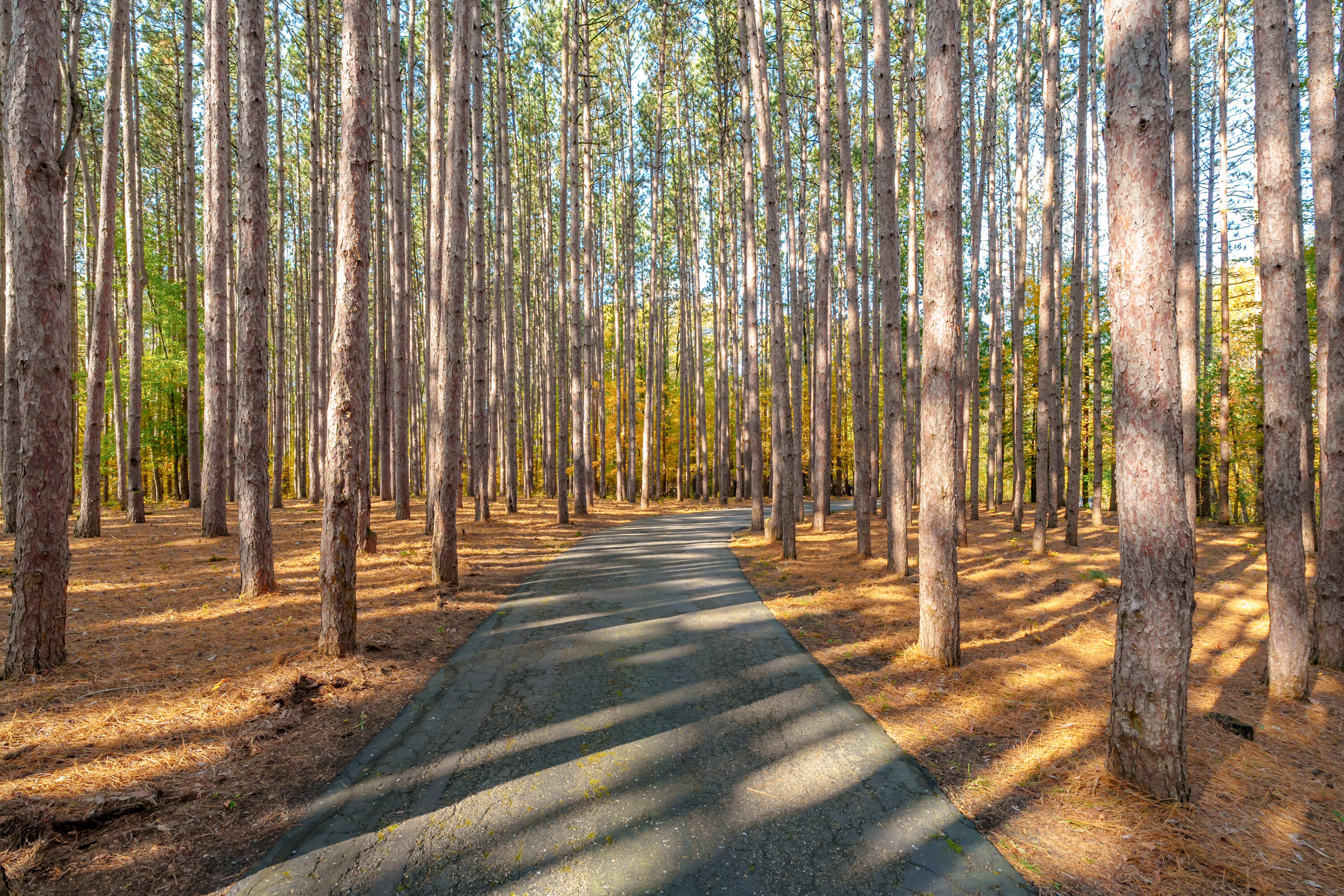 6738 N Sprinkle Road Kalamazoo MI 49004