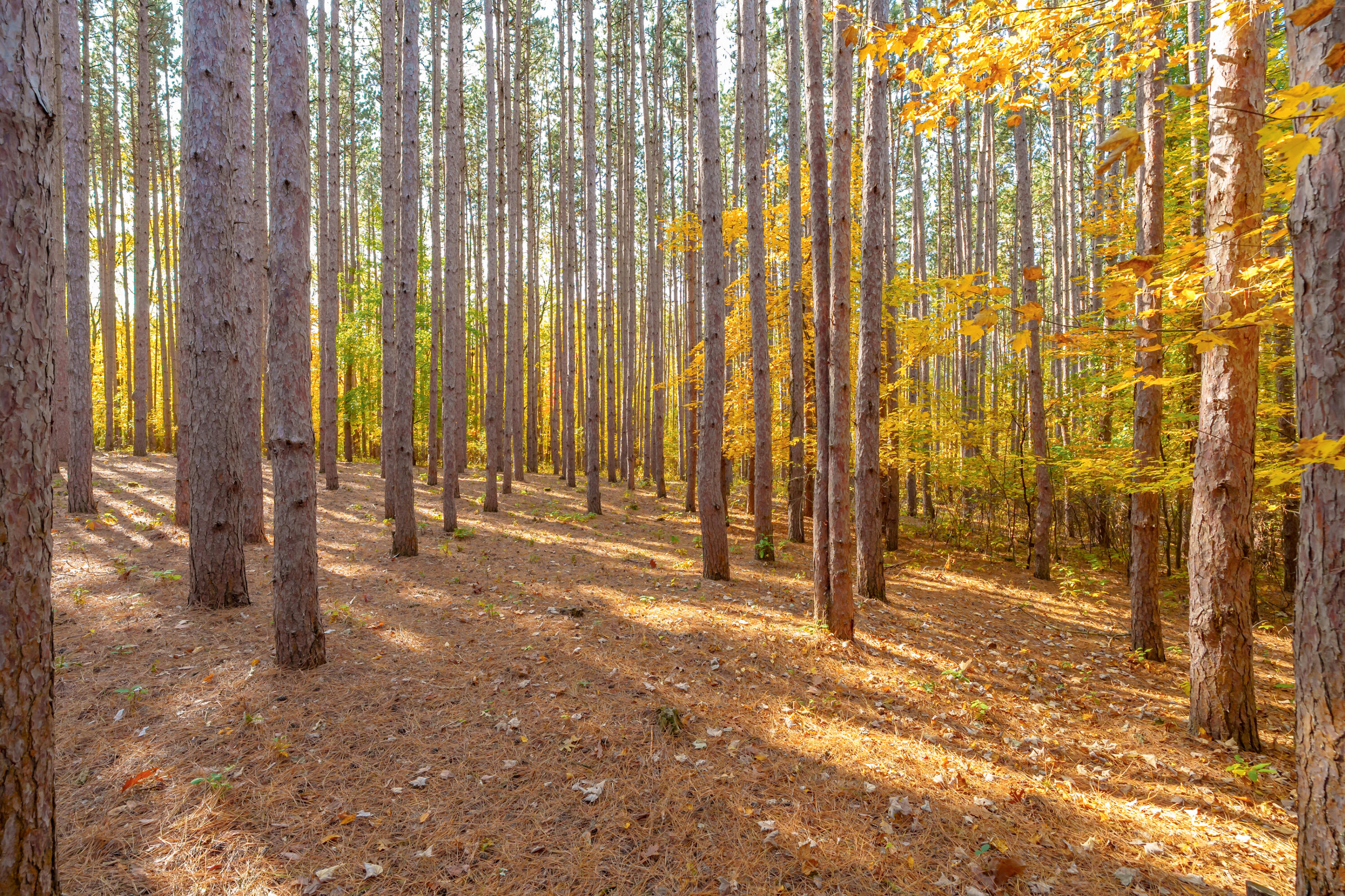 6738 N Sprinkle Road Kalamazoo MI 49004