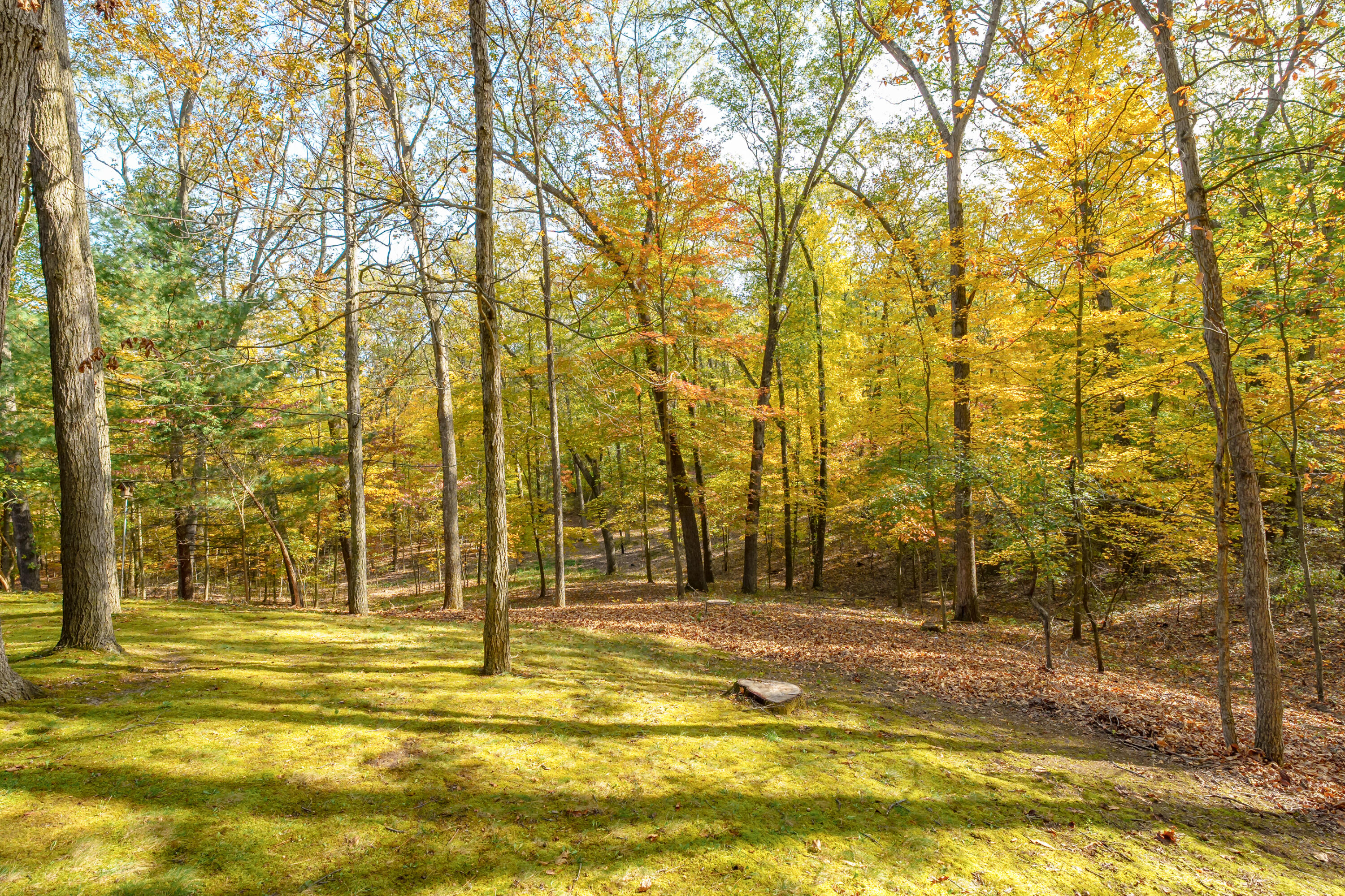 6738 N Sprinkle Road Kalamazoo MI 49004