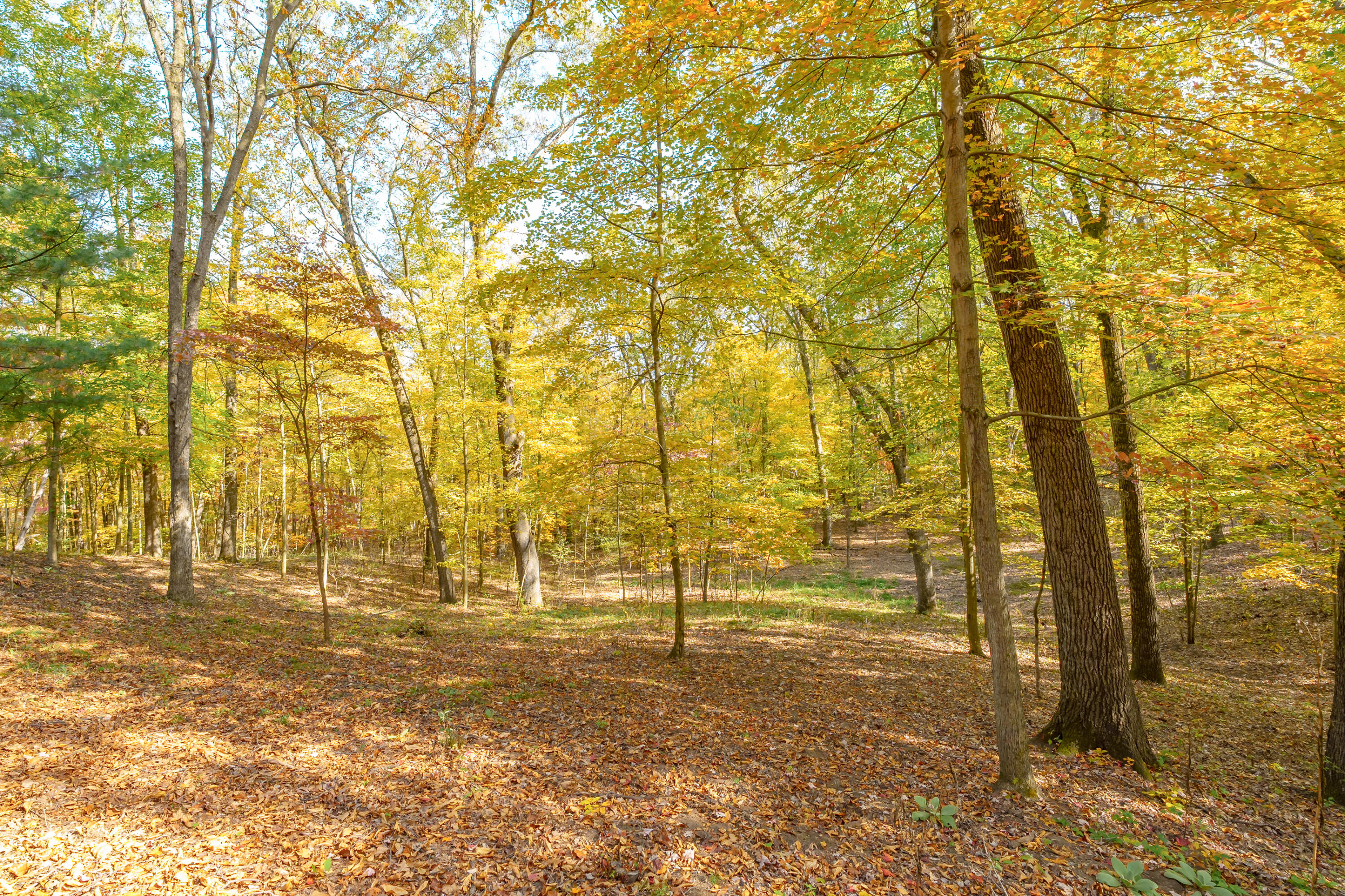 6738 N Sprinkle Road Kalamazoo MI 49004