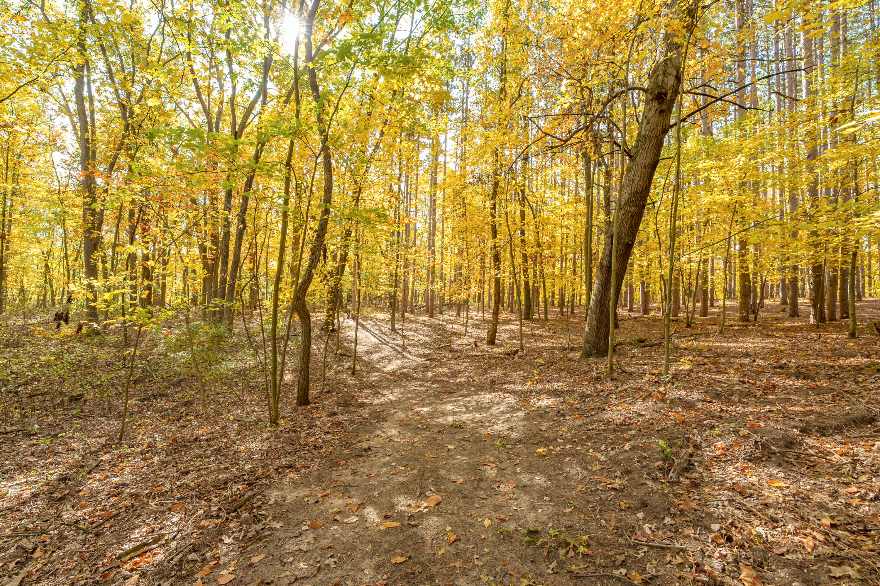 6738 N Sprinkle Road Kalamazoo MI 49004