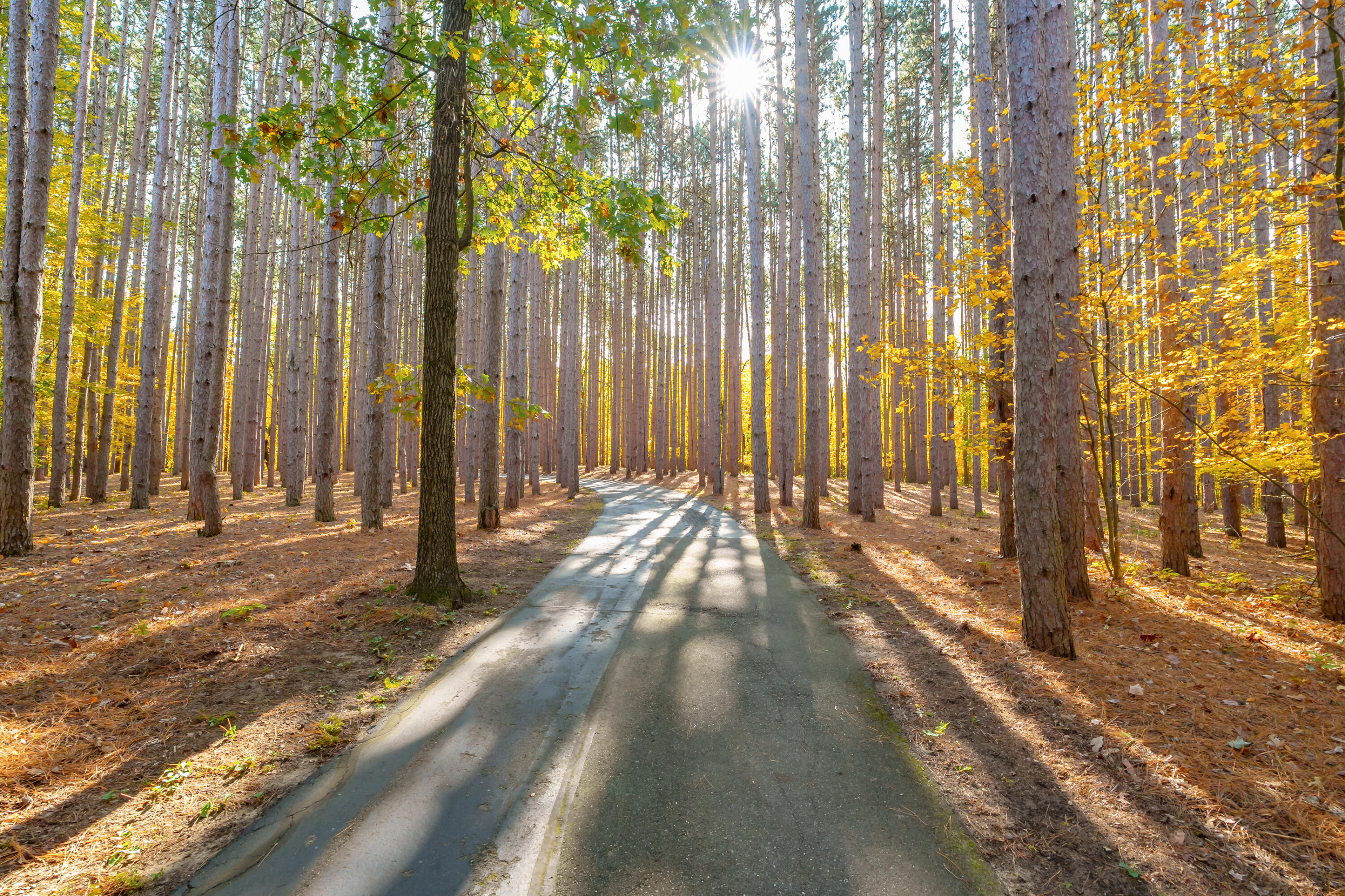 6738 N Sprinkle Road Kalamazoo MI 49004