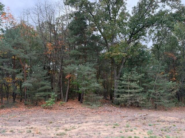 1254 E Ellis Road Norton Shores MI 49441