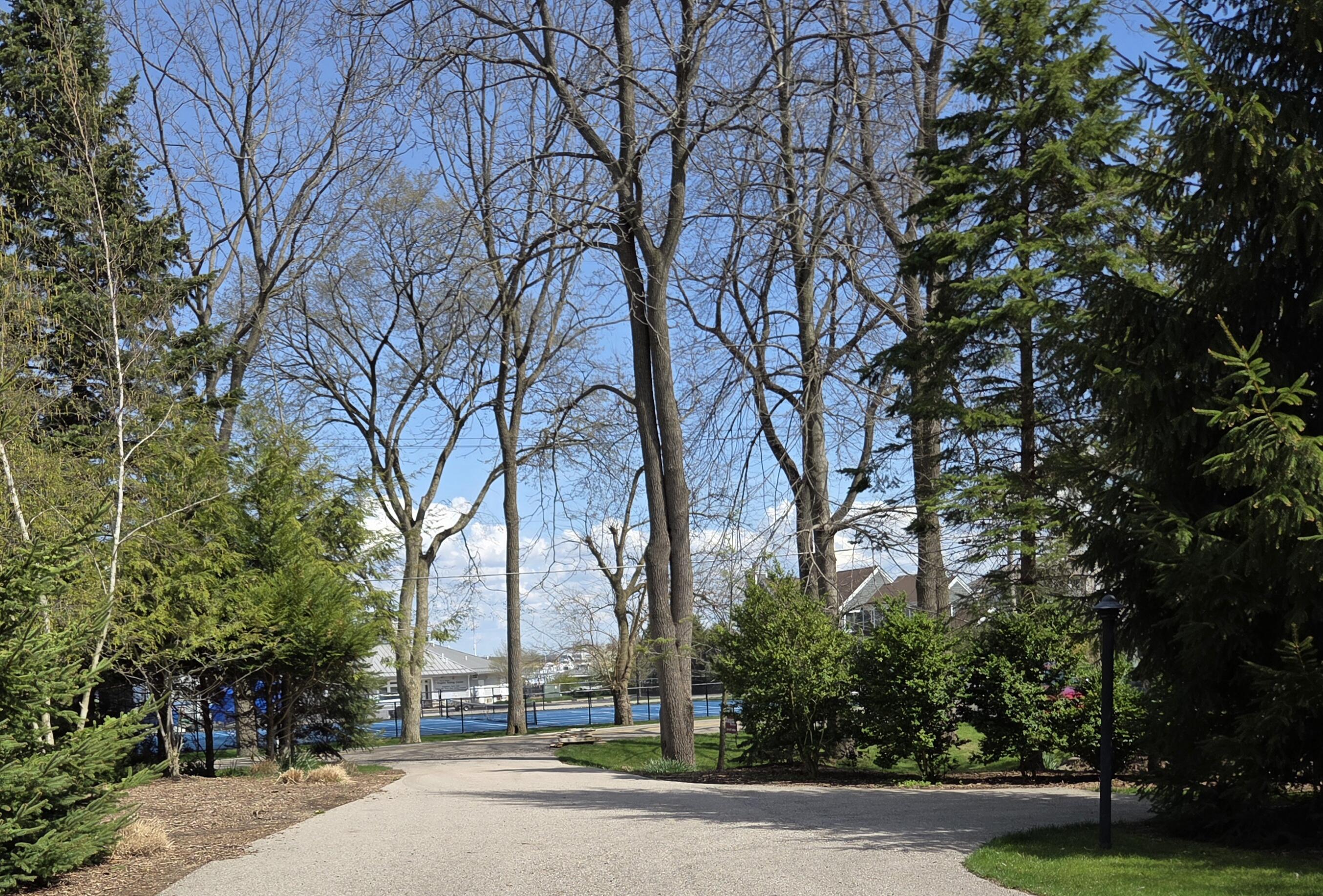 16 Park Street Saugatuck MI 49453