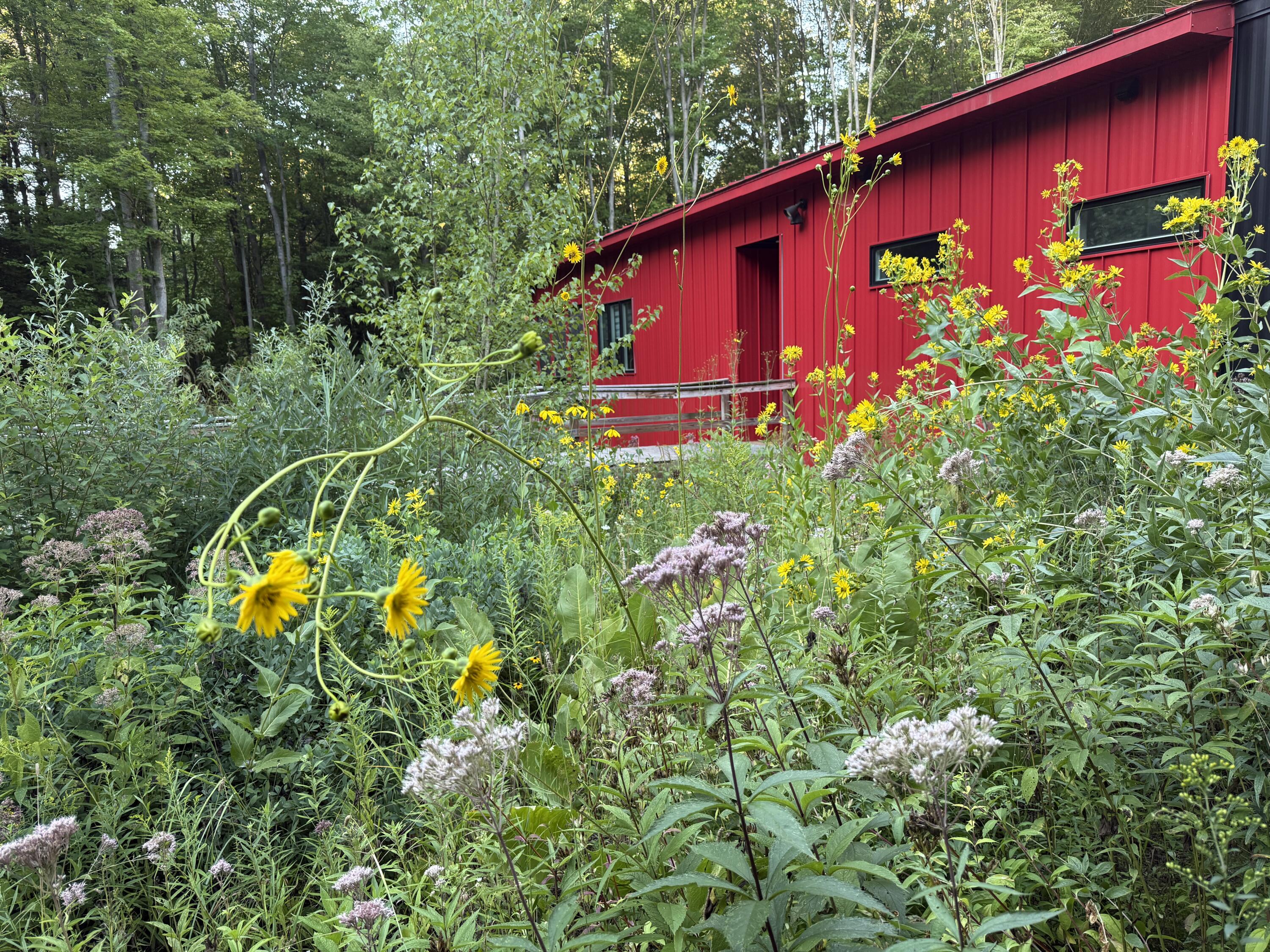 5479 Liland Trace Fennville MI 49408