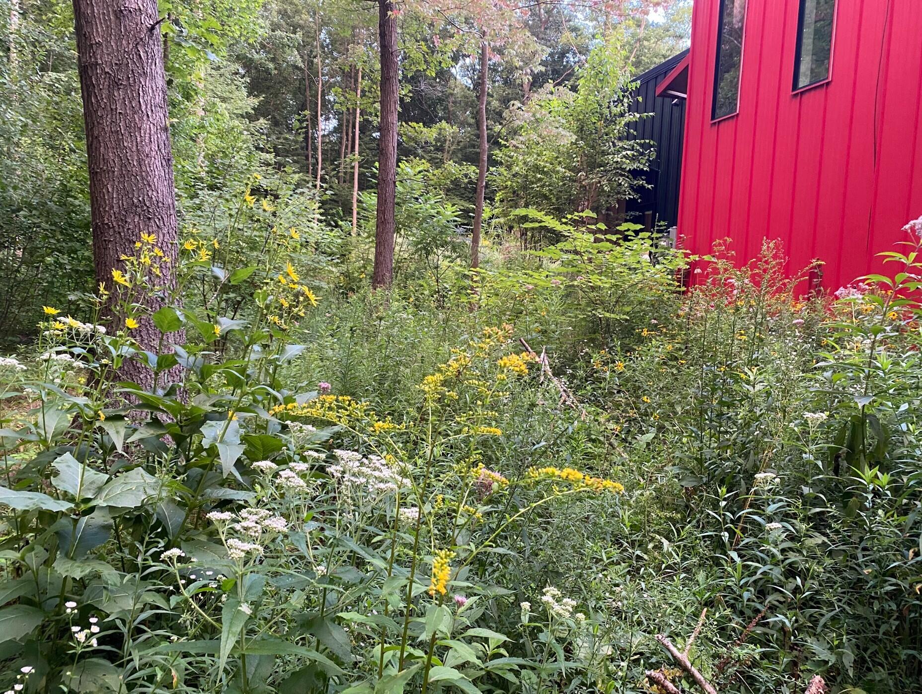 5479 Liland Trace Fennville MI 49408