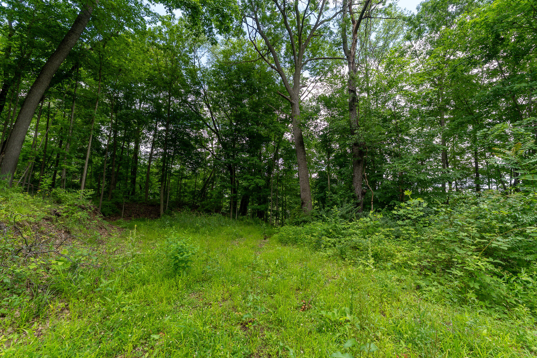 50.75 Weiser Road Niles MI 49120