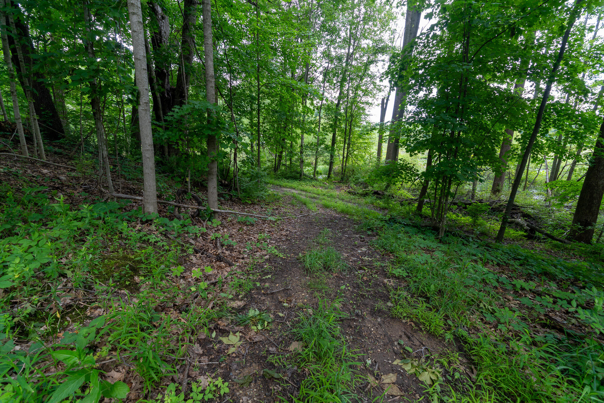 50.75 Weiser Road Niles MI 49120