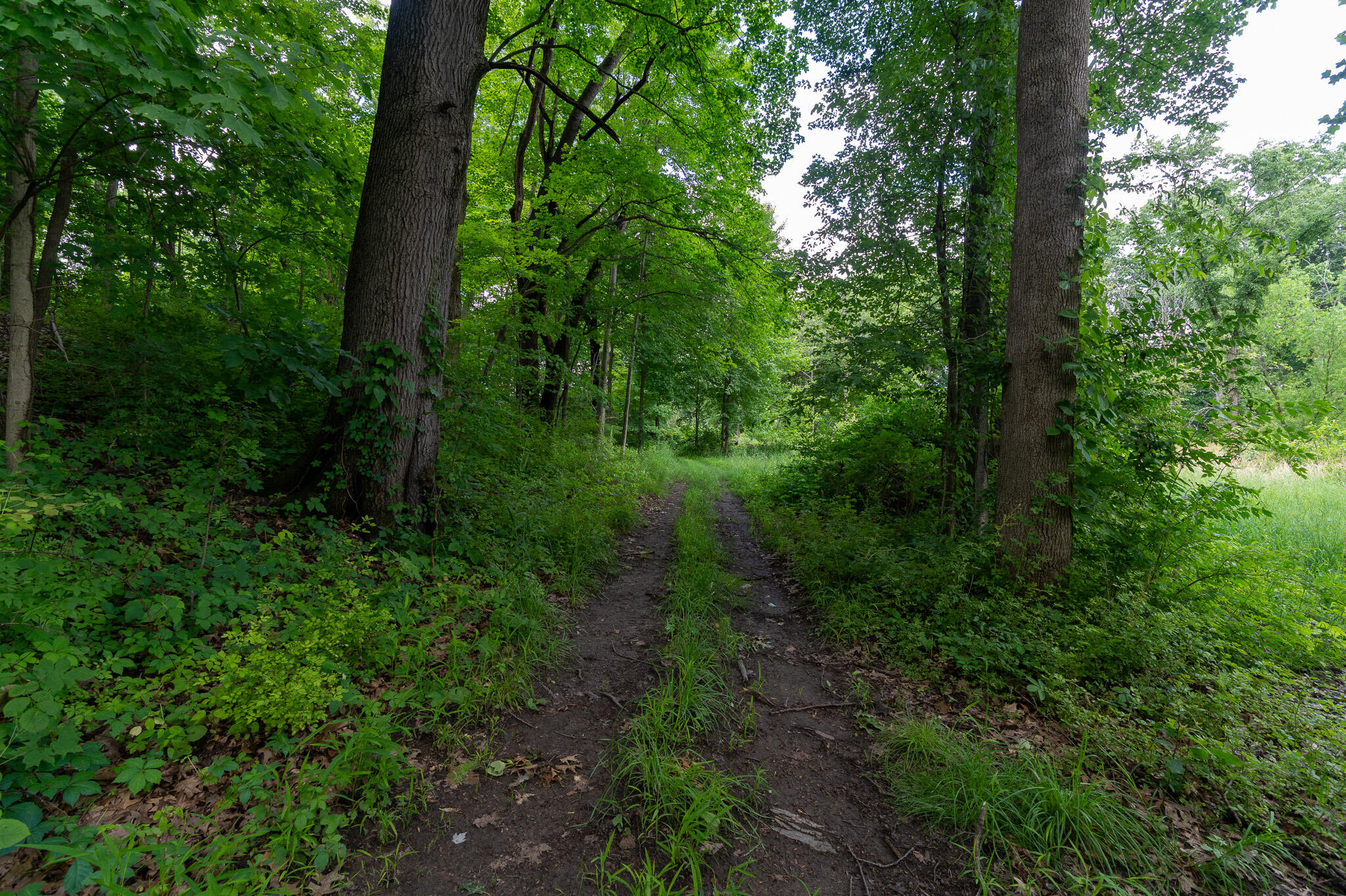 50.75 Weiser Road Niles MI 49120