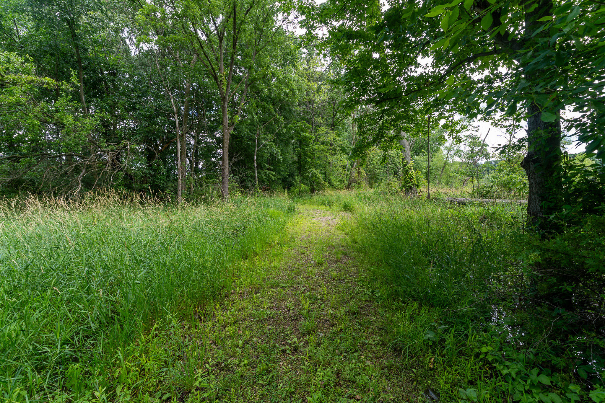50.75 Weiser Road Niles MI 49120