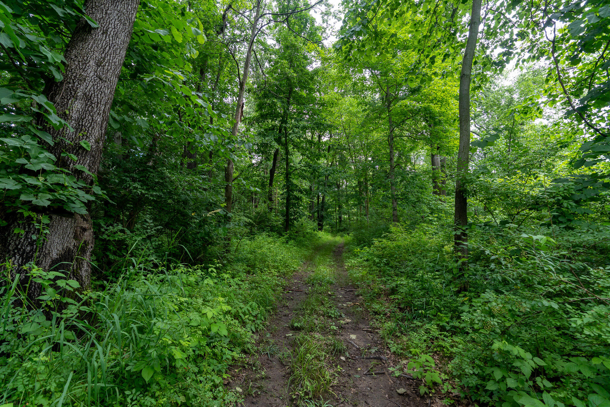 50.75 Weiser Road Niles MI 49120
