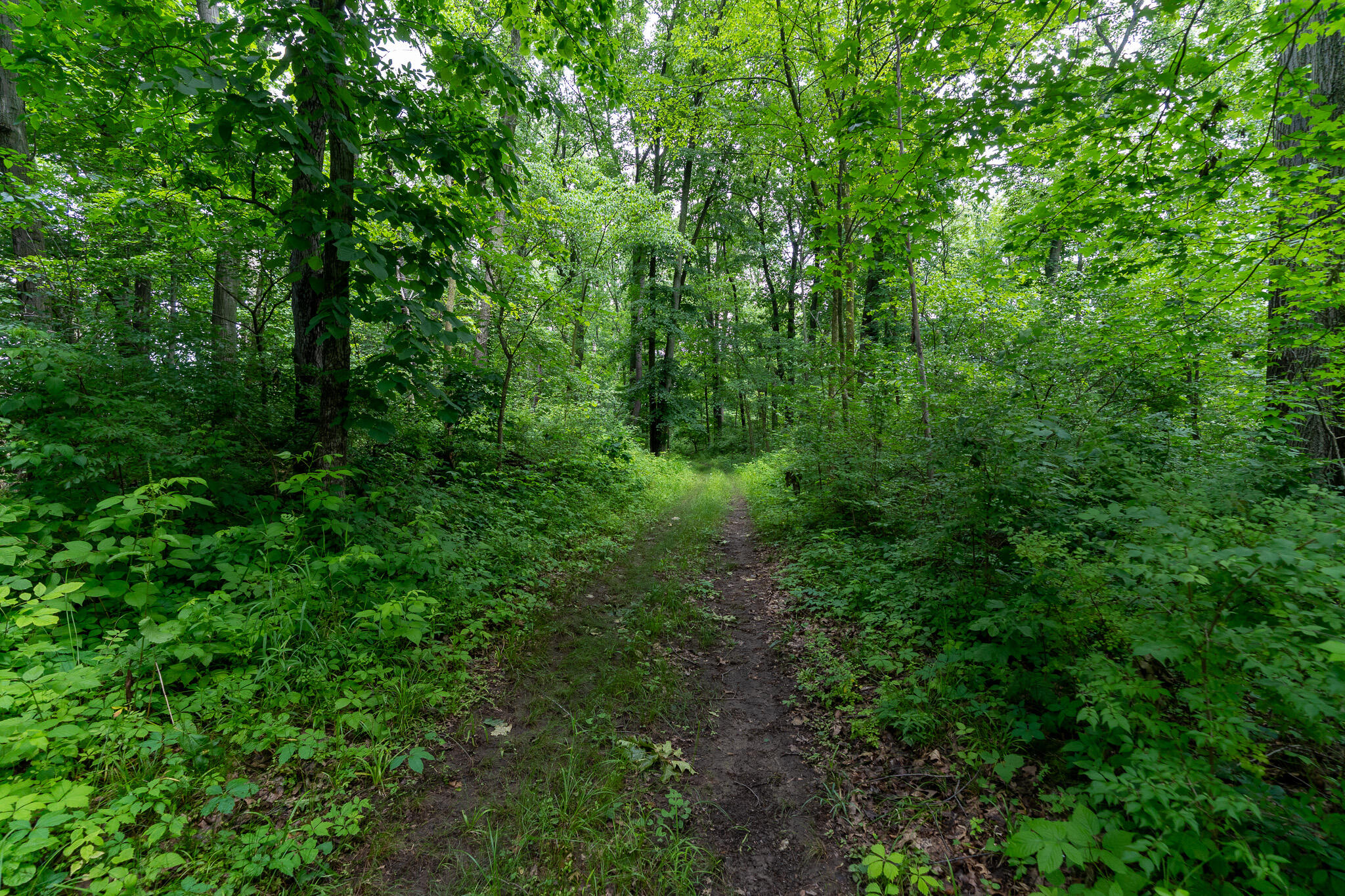 50.75 Weiser Road Niles MI 49120