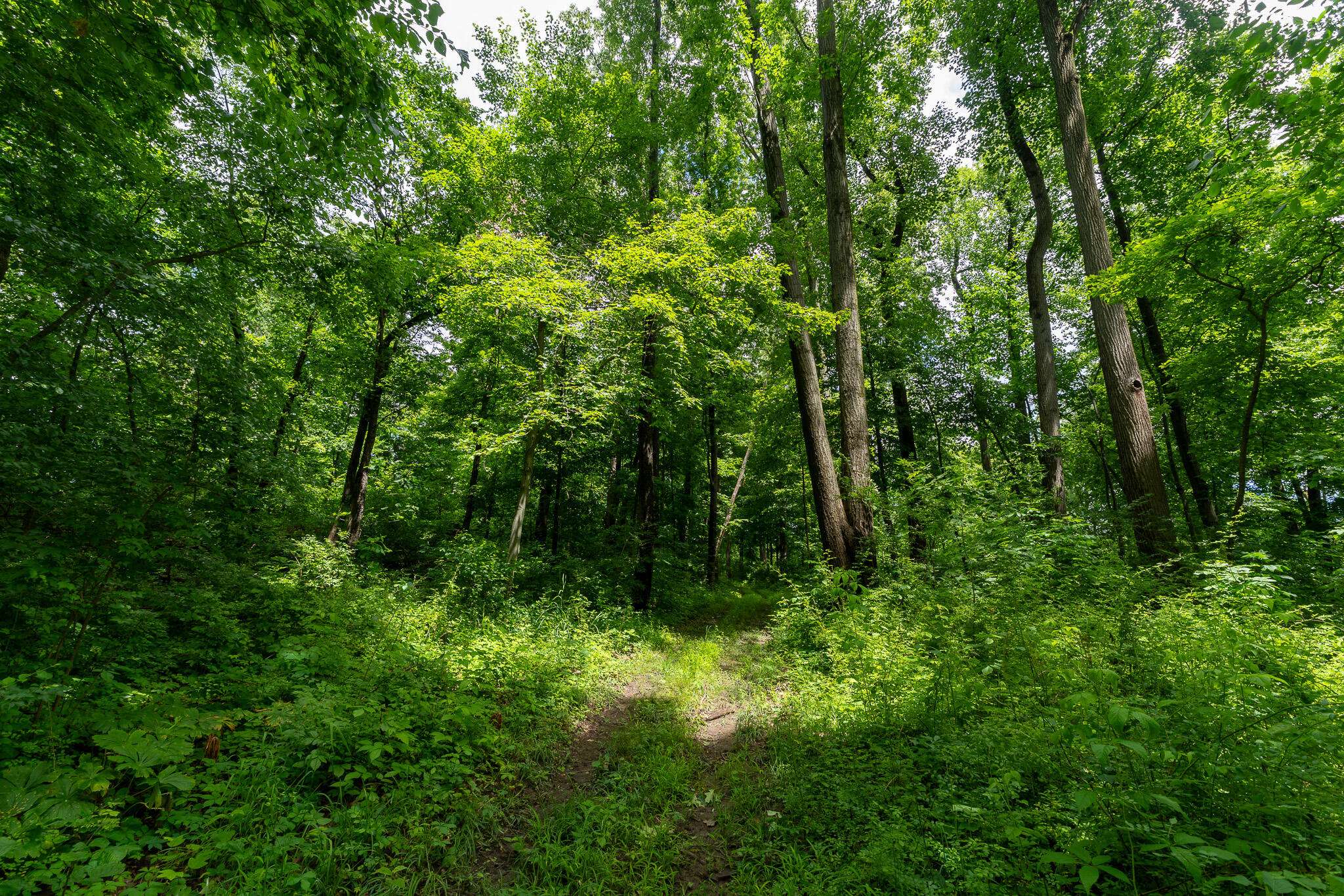 50.75 Weiser Road Niles MI 49120