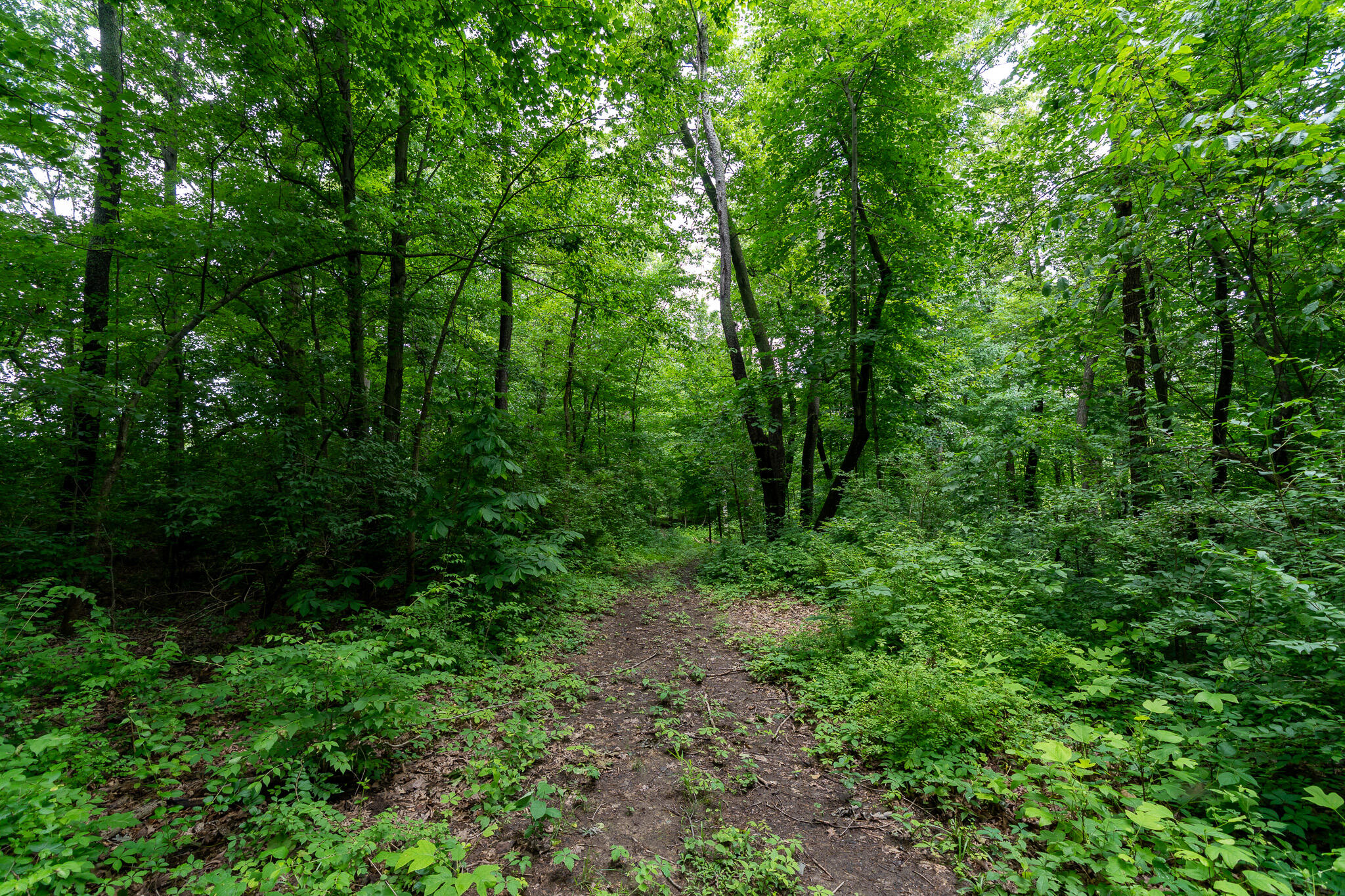 50.75 Weiser Road Niles MI 49120
