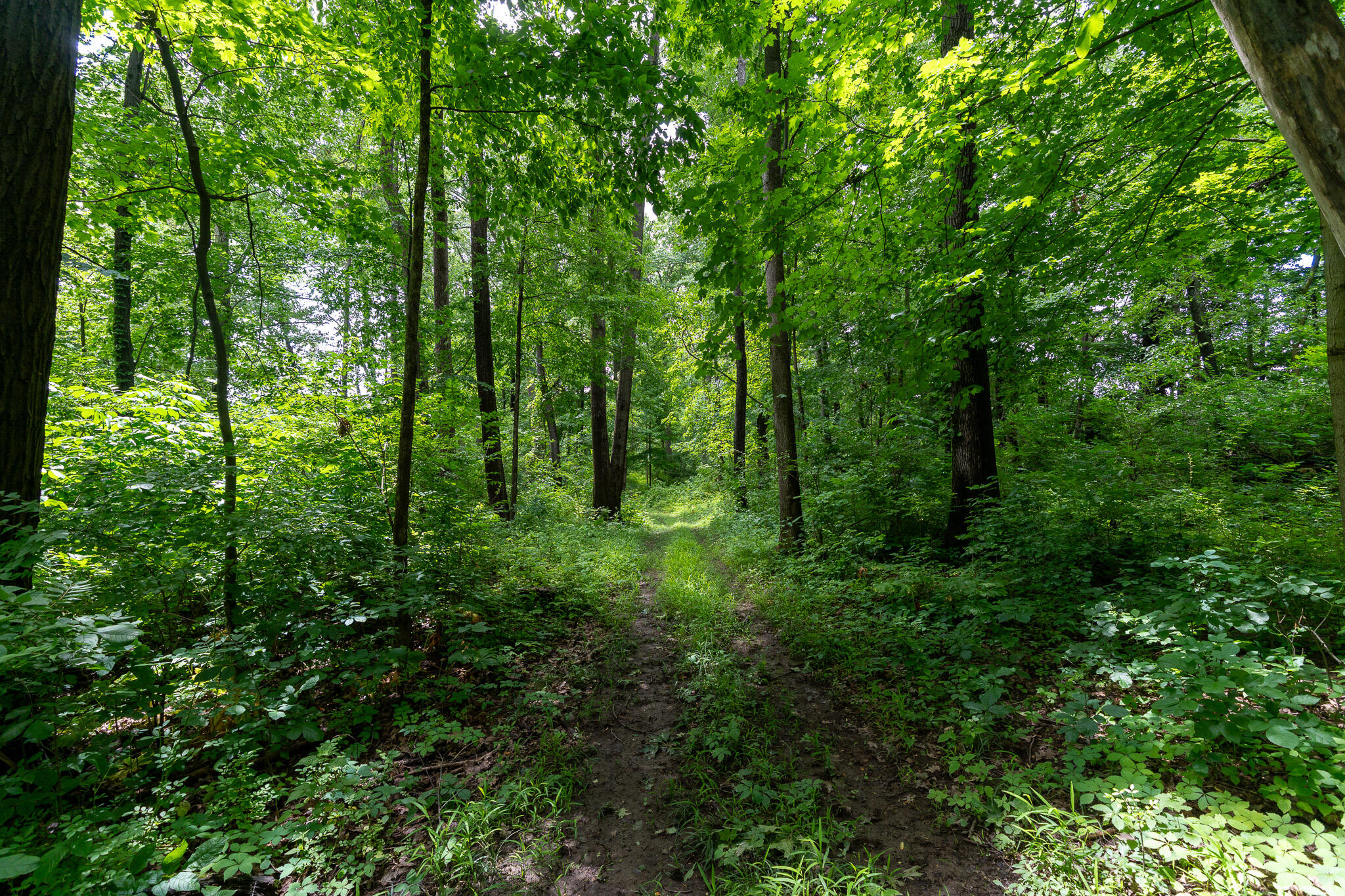 50.75 Weiser Road Niles MI 49120