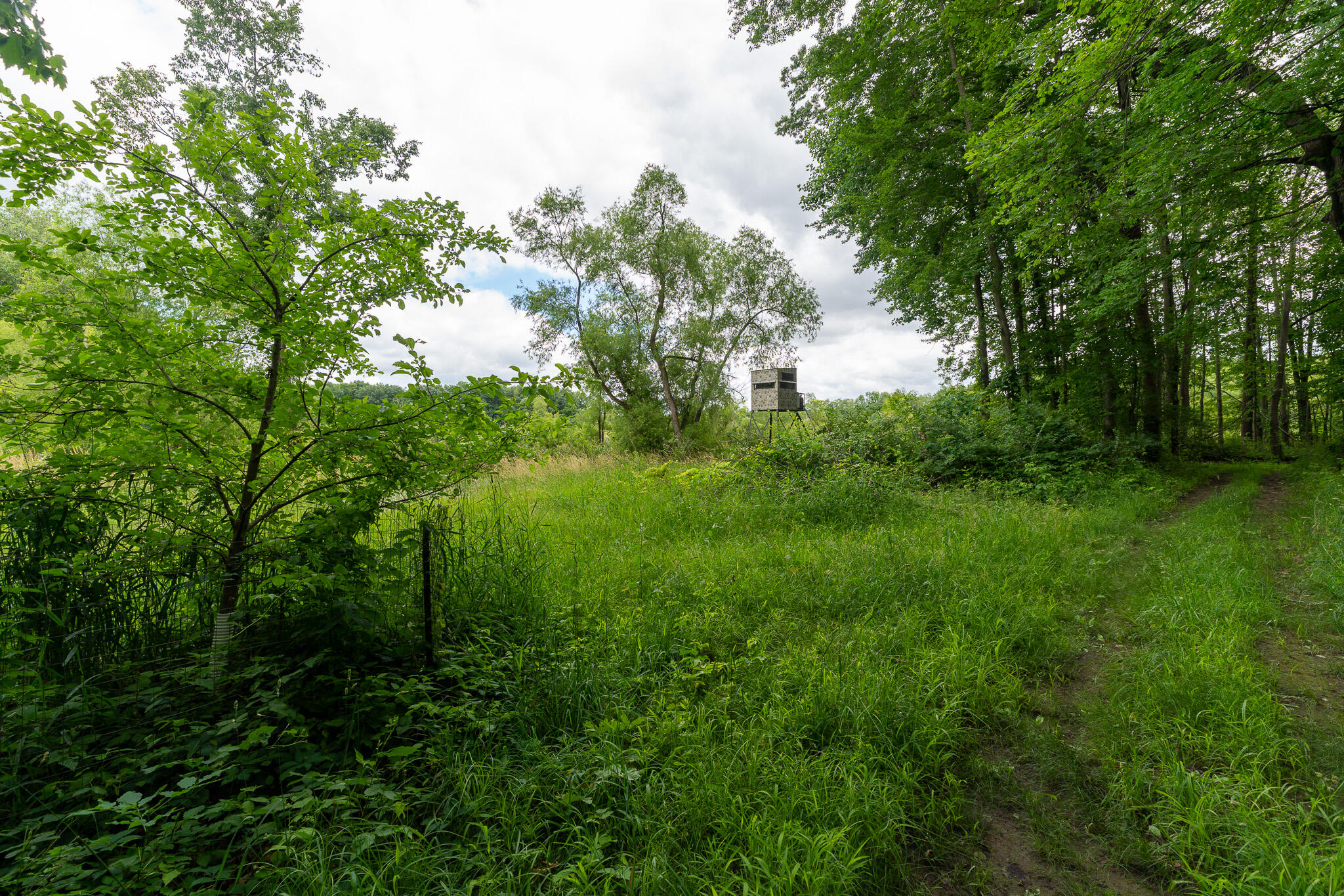 50.75 Weiser Road Niles MI 49120