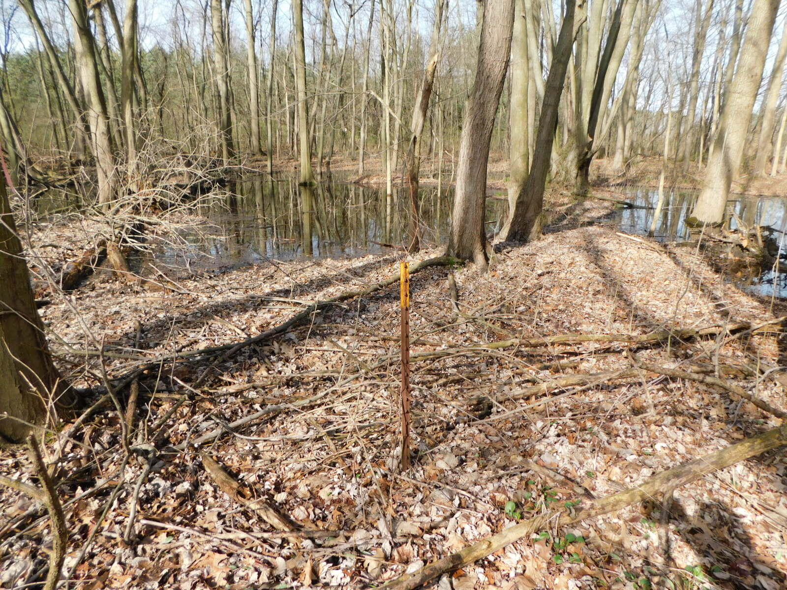 1976 Townline Road Benton Harbor MI 49022