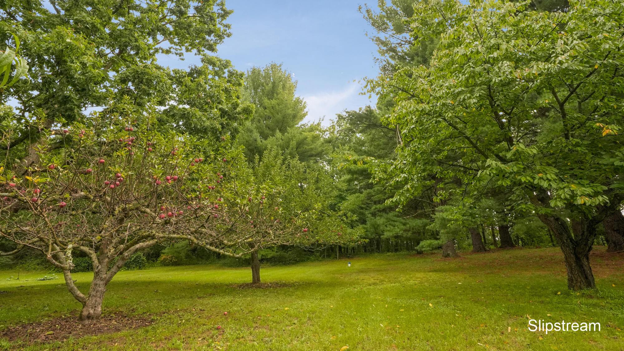5059 12 Mile Road NE Rockford MI 49341