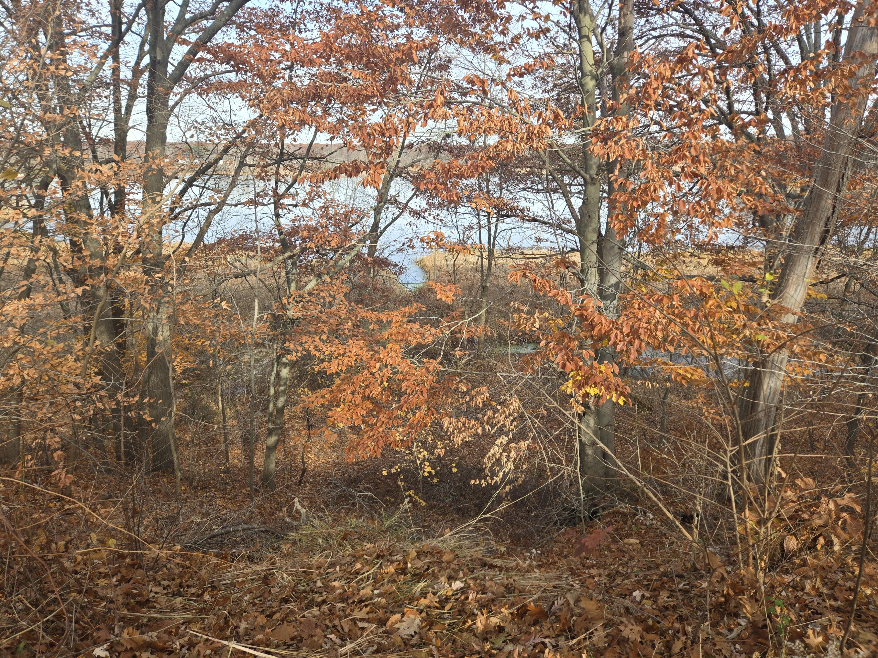 3893 Buck Street Norton Shores MI 49444