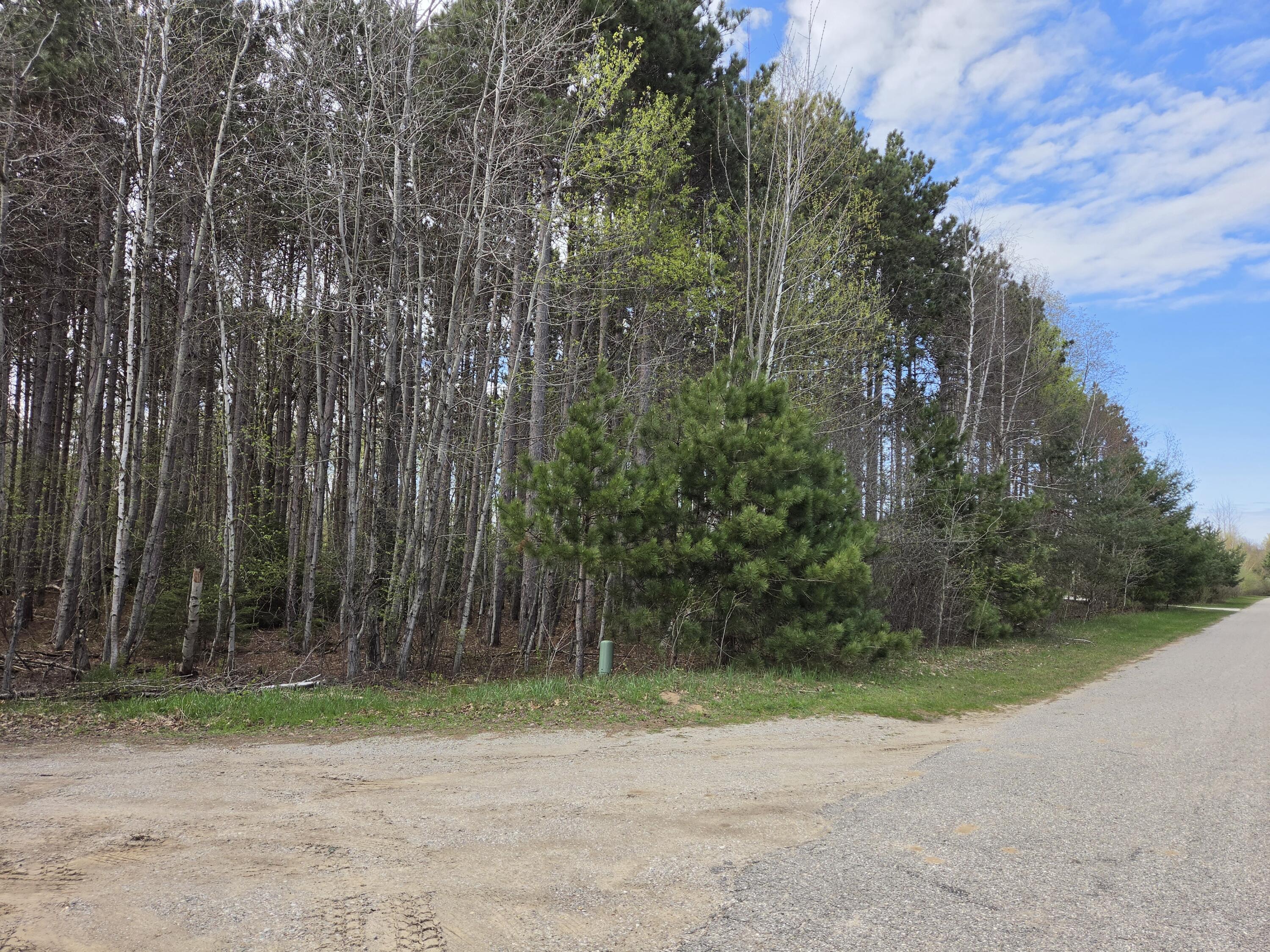 891 N White Birch Drive Ludington MI 49431