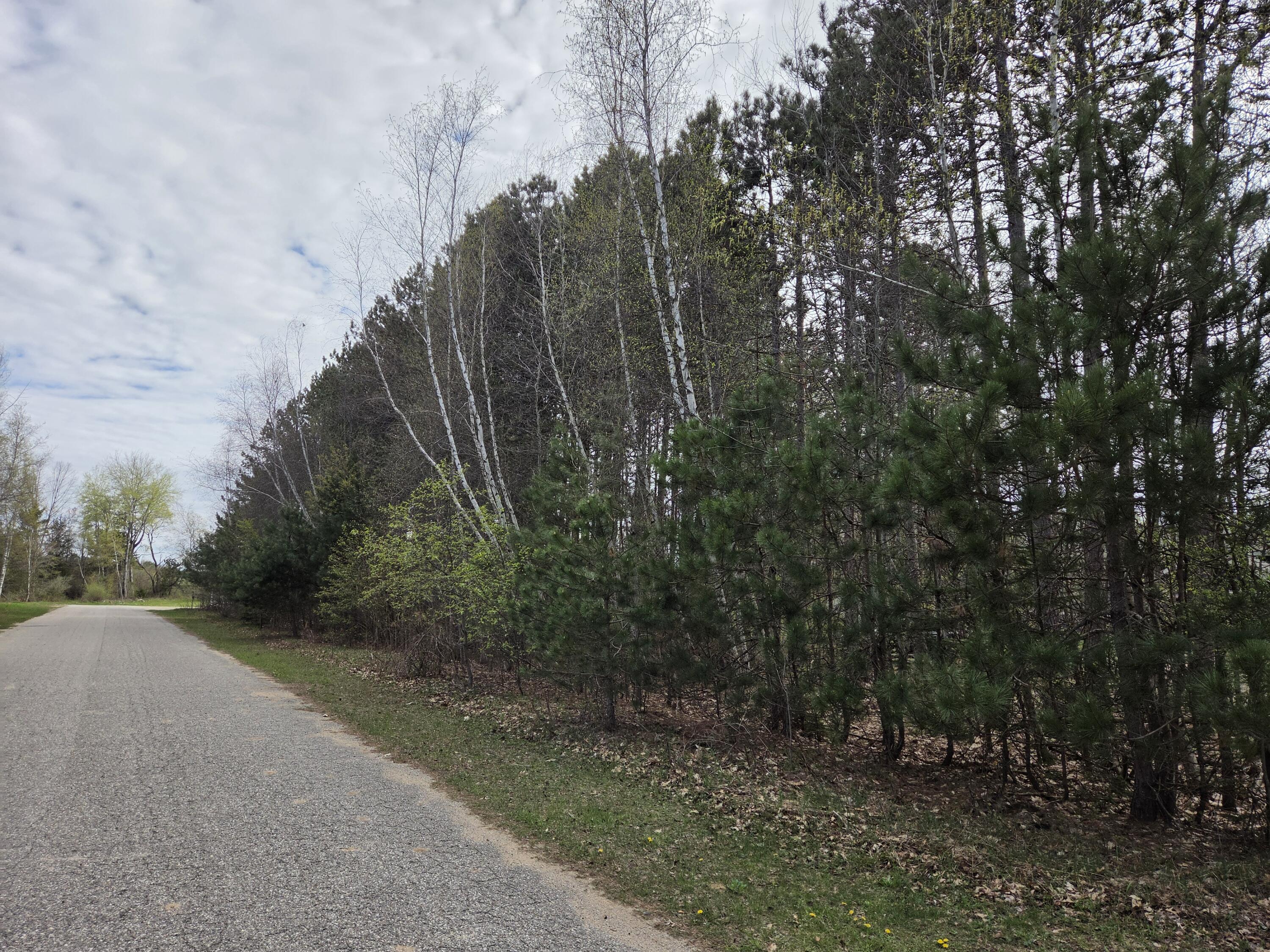 891 N White Birch Drive Ludington MI 49431