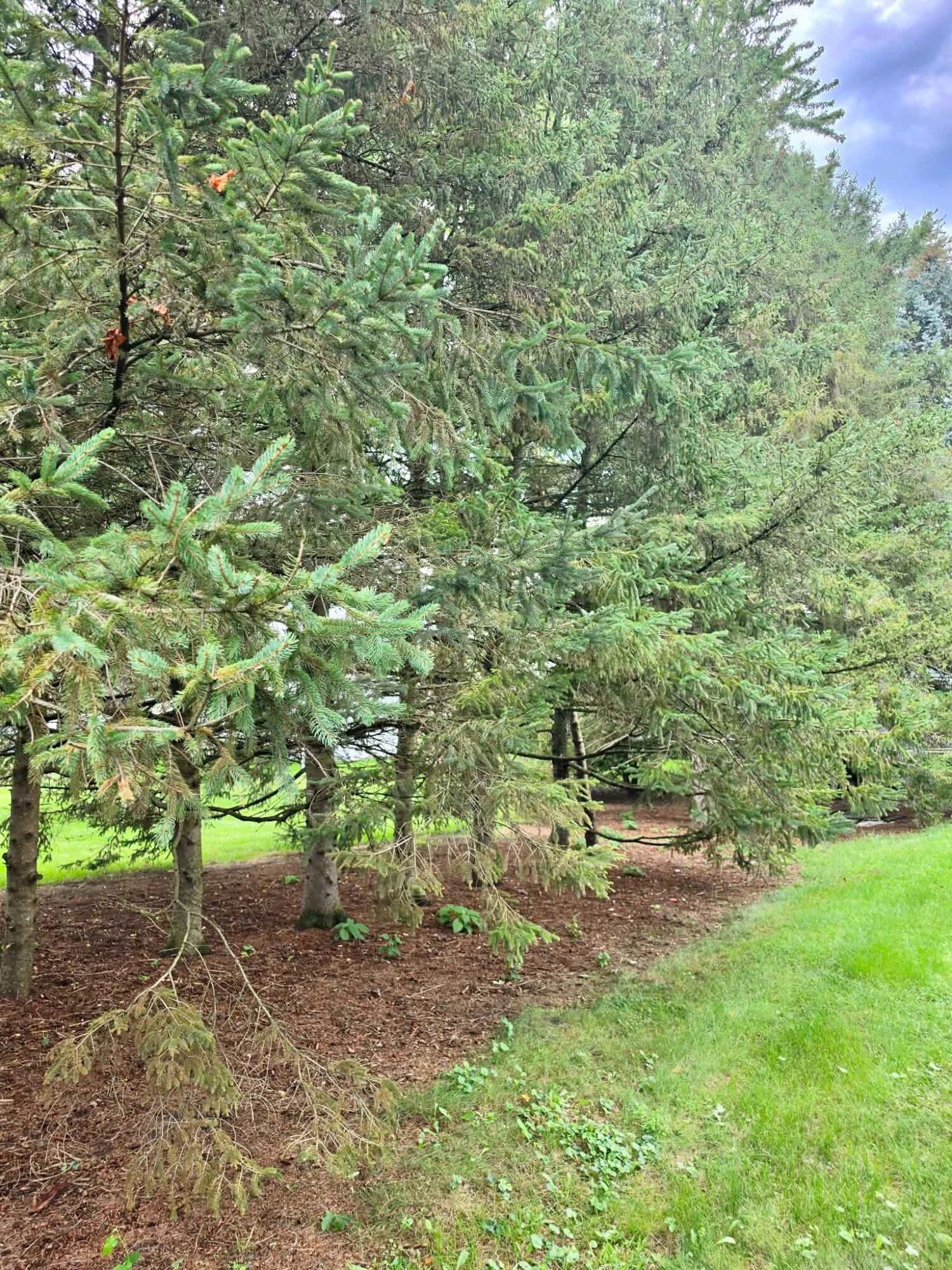 4850 Shore Drive Coloma MI 49038