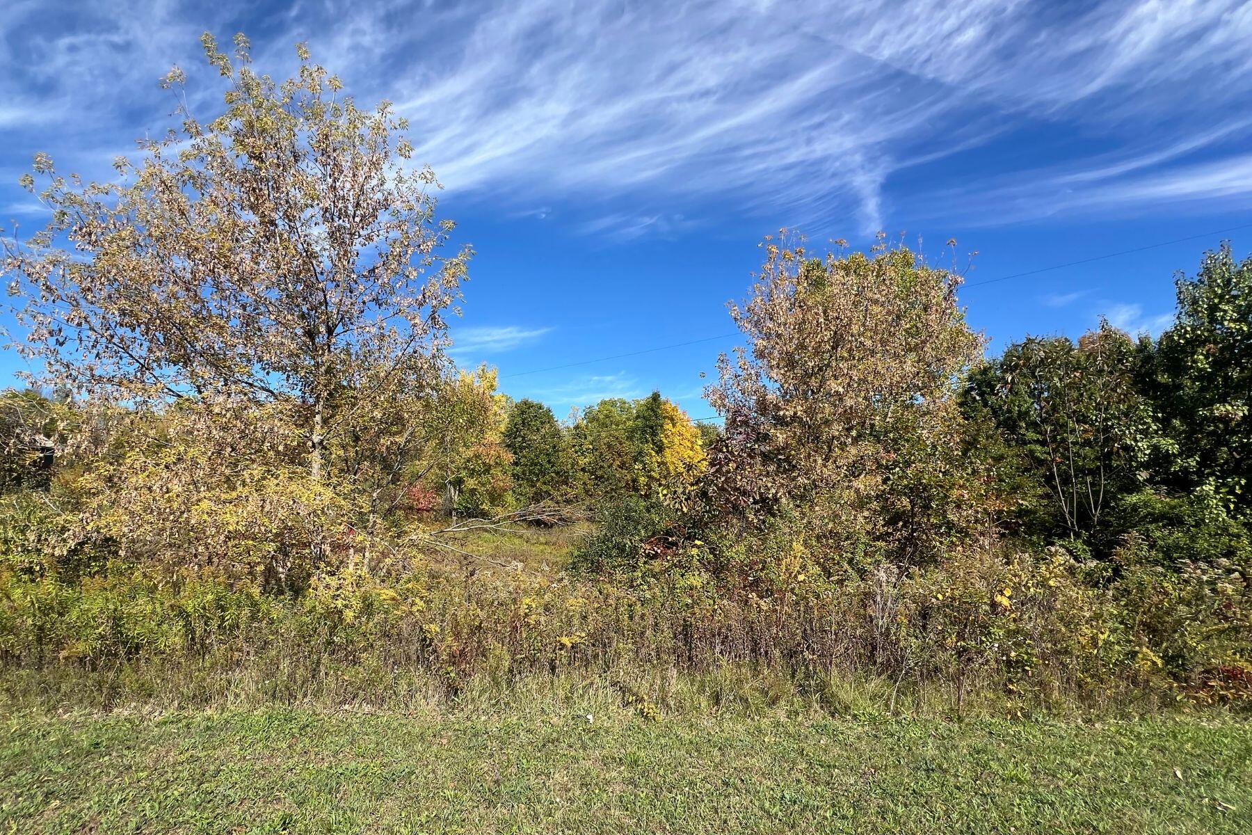 5577 Cannon Meadows Drive Ada MI 49301