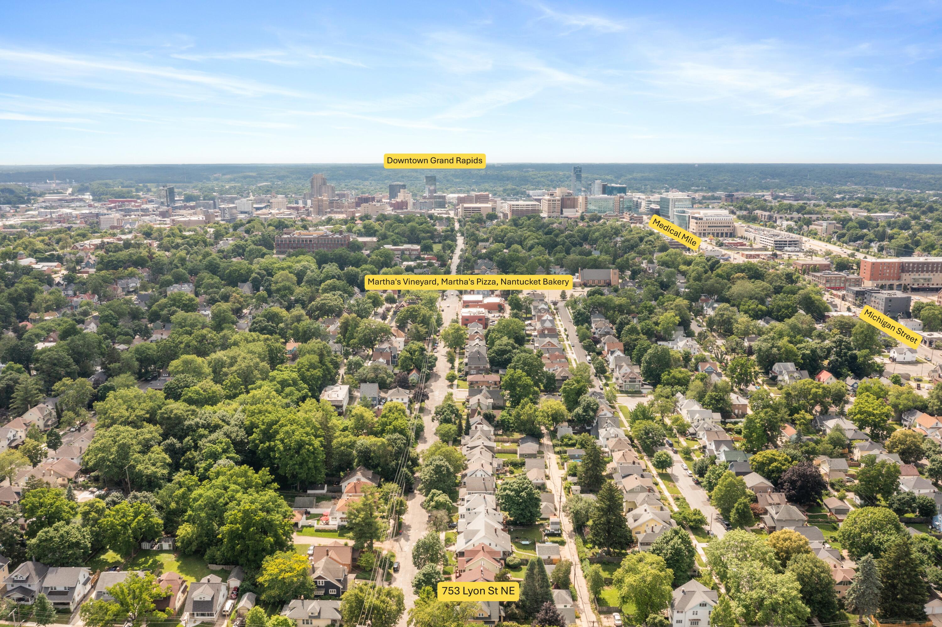 753 Lyon Street NE Grand Rapids MI 49503