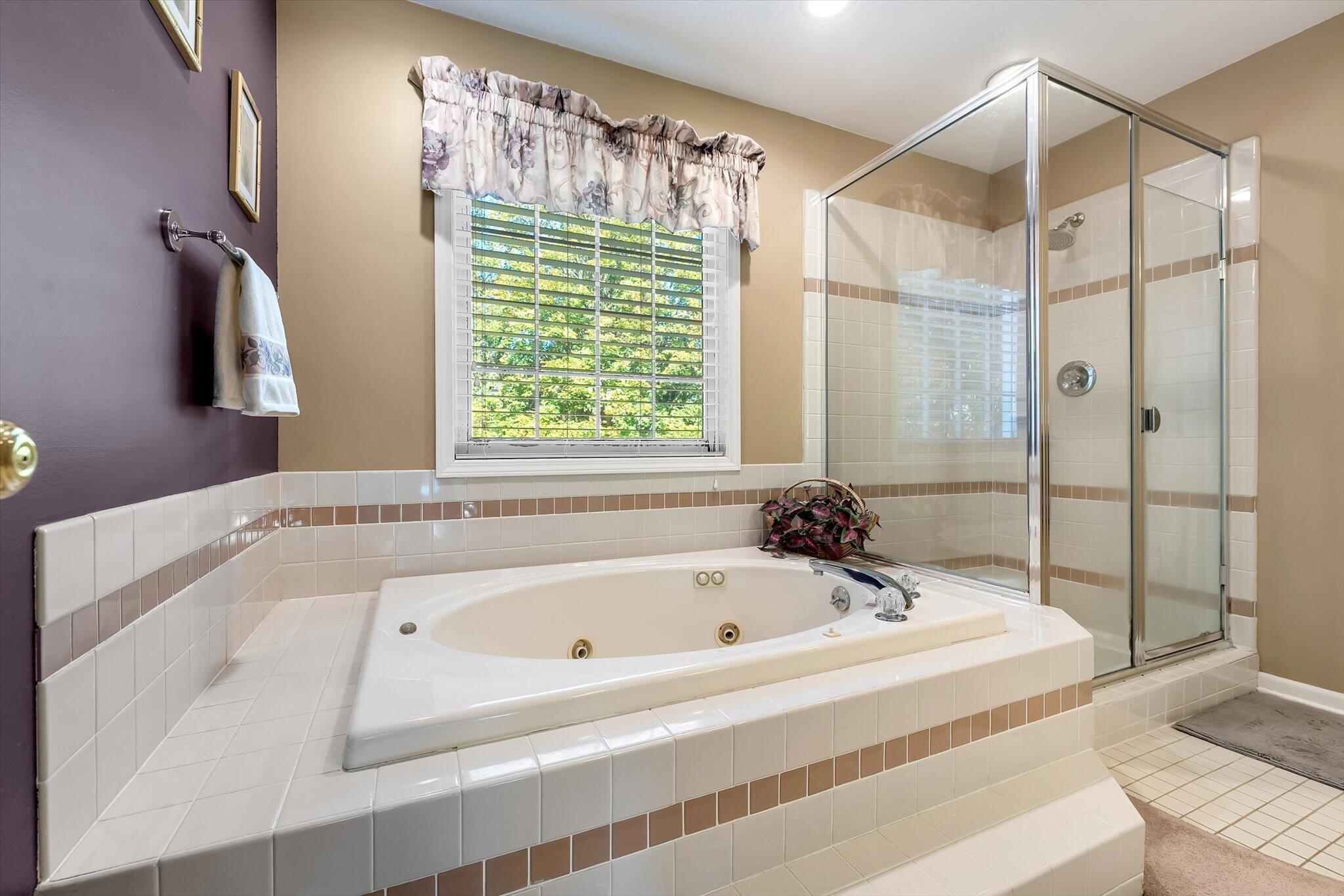 6429 Drumlin Court SE Ada MI 49301