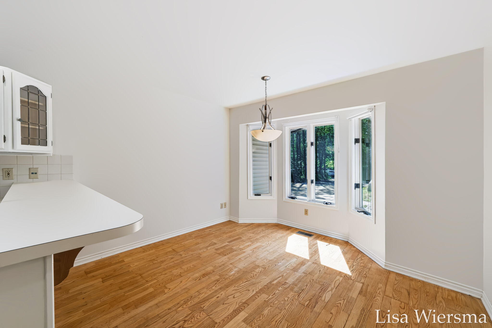 6572 Haines Lane West Olive MI 49460