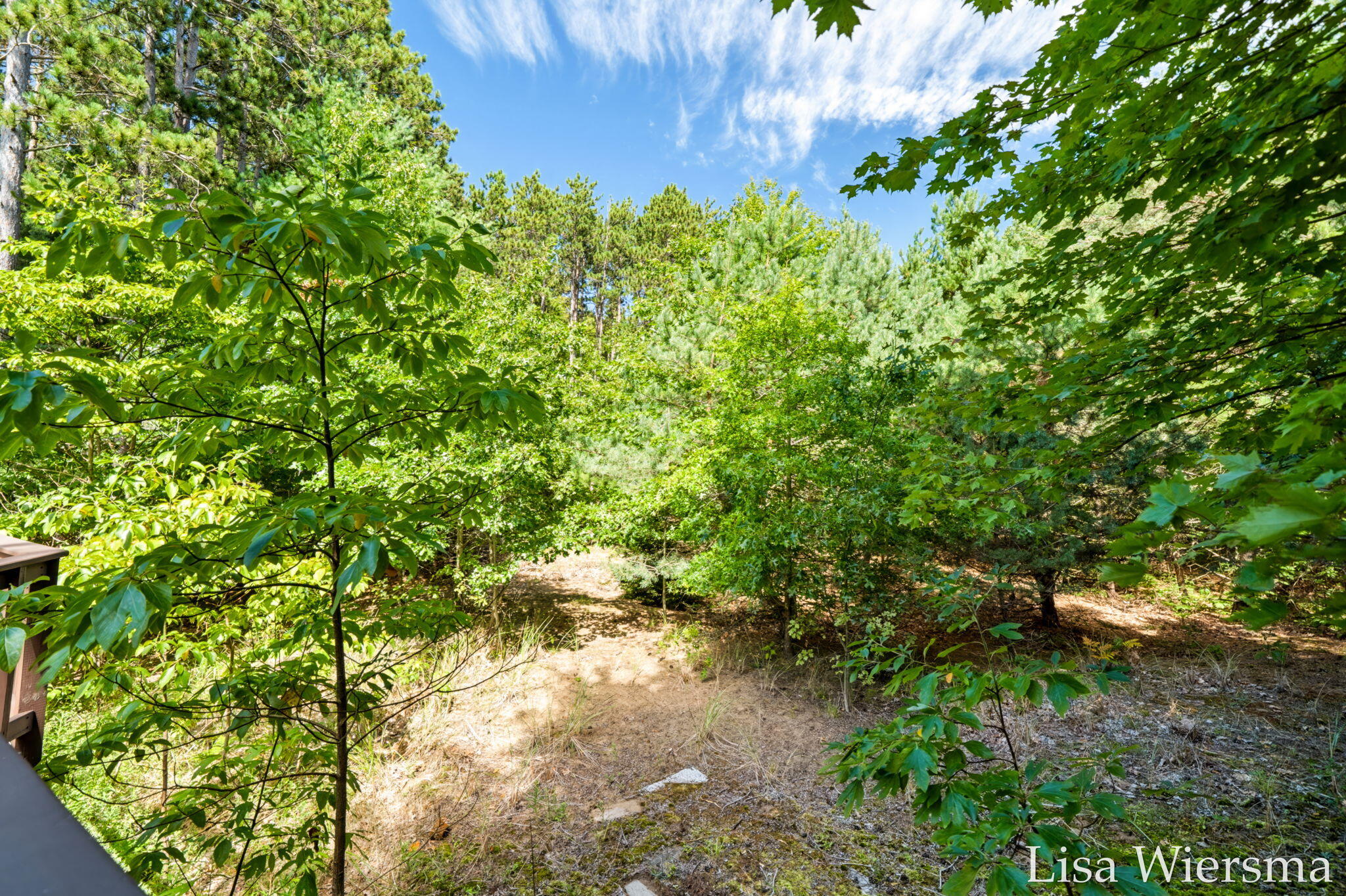 6572 Haines Lane West Olive MI 49460