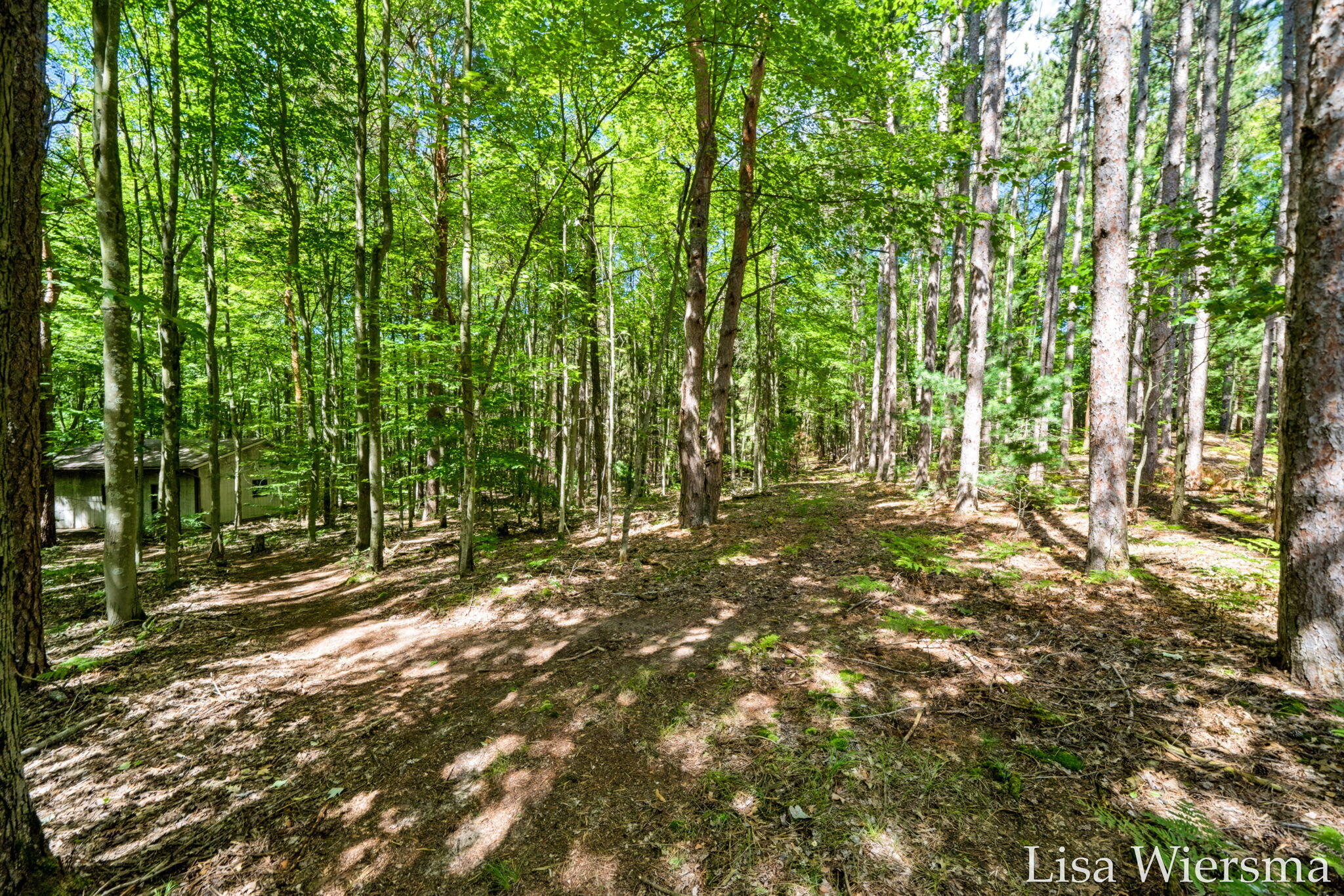 6572 Haines Lane West Olive MI 49460