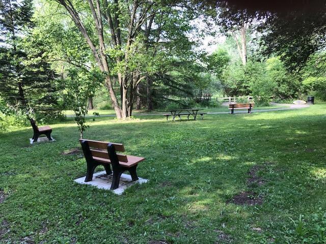 1041 Dogwood Meadows Drive SE Ada MI 49301