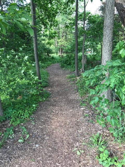 1041 Dogwood Meadows Drive SE Ada MI 49301