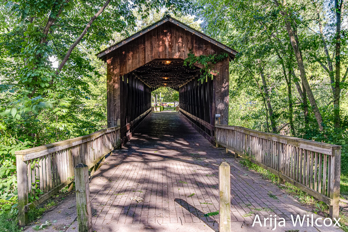 1041 Dogwood Meadows Drive SE Ada MI 49301