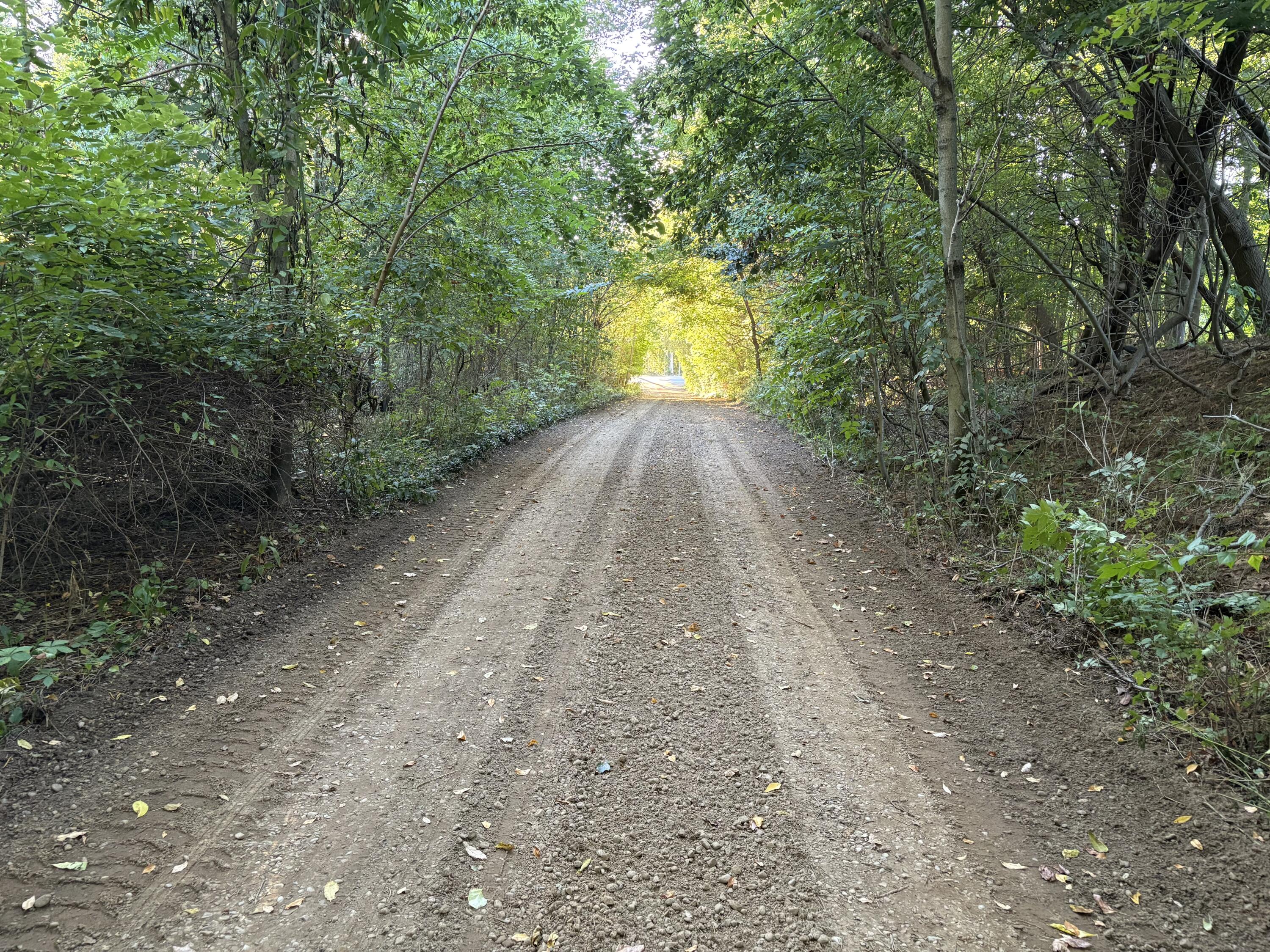 5932 Wilderness Trail Hamilton MI 49419