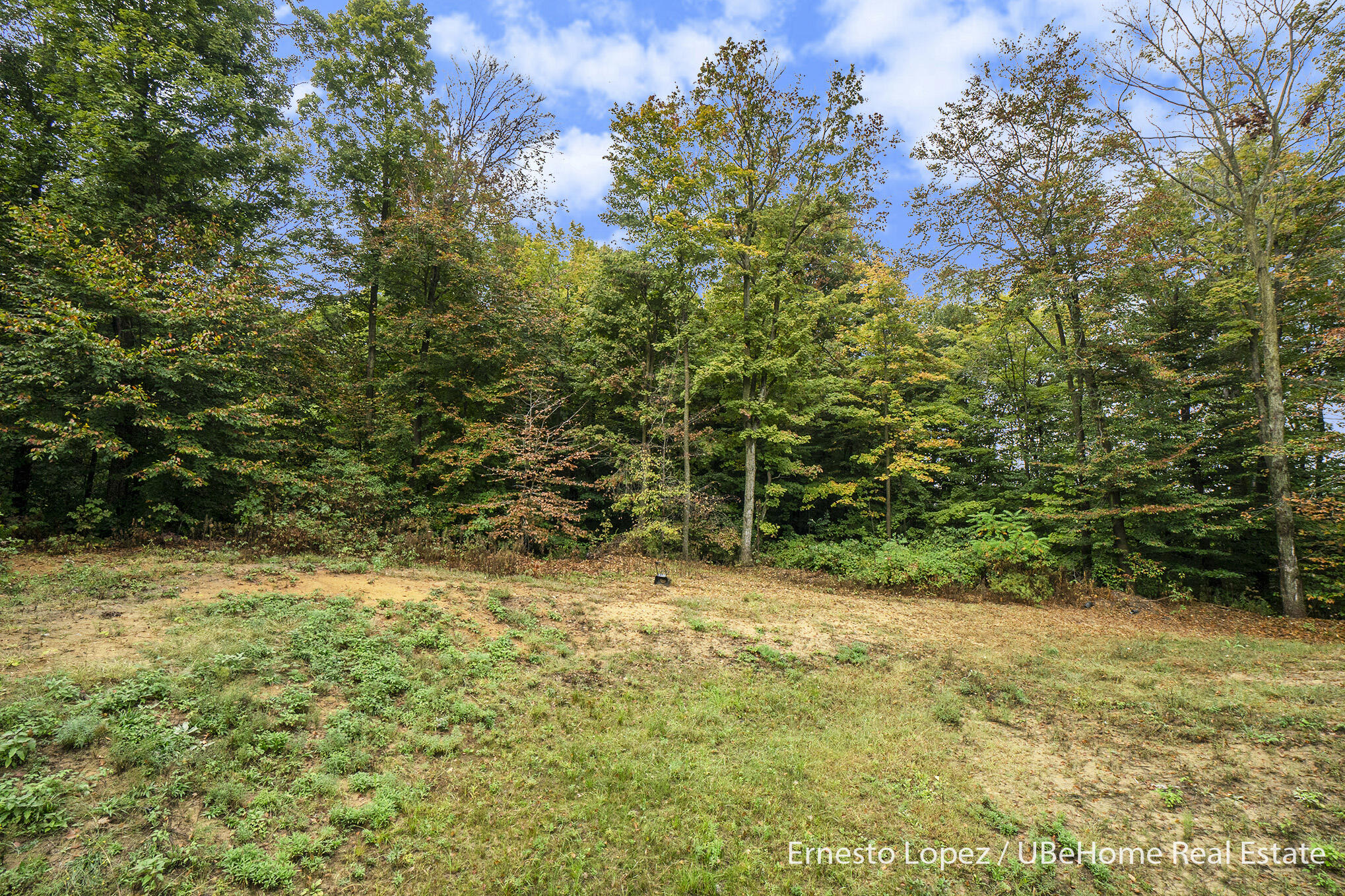 6467 118th Avenue Fennville MI 49408