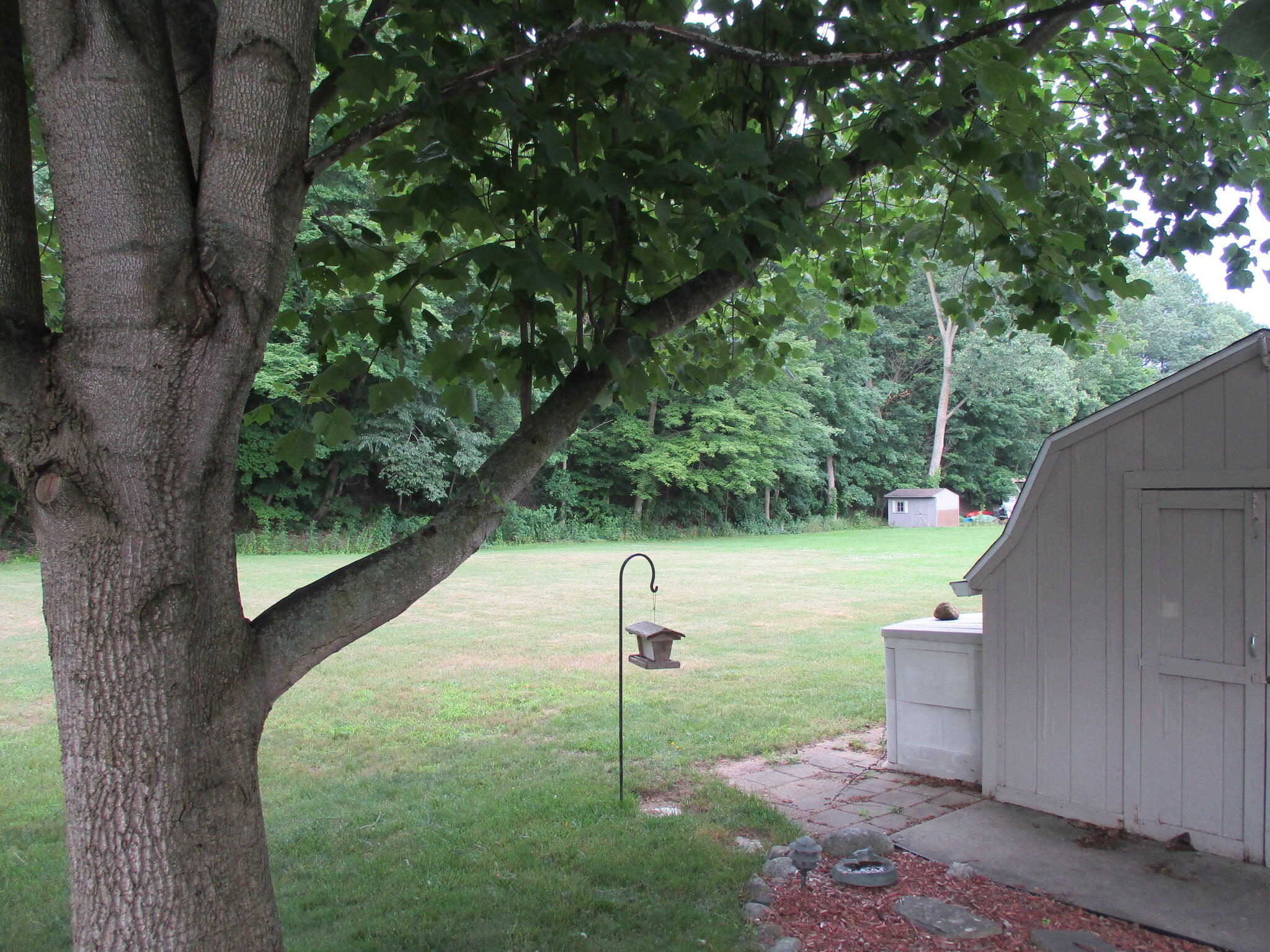 6236 Arrowhead Drive Fennville MI 49408