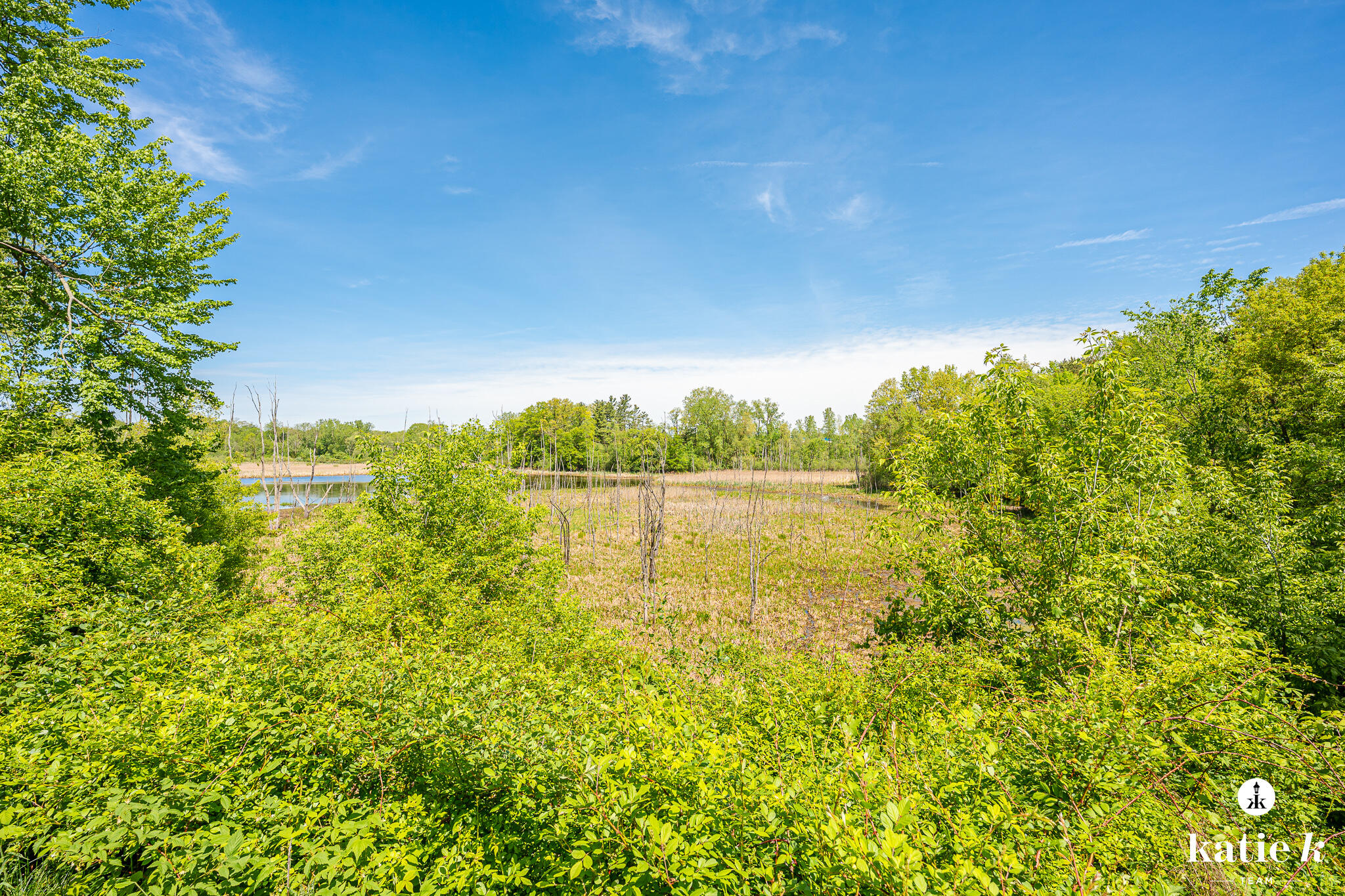 1055 Bradford Hollow Lane NE Grand Rapids MI 49525