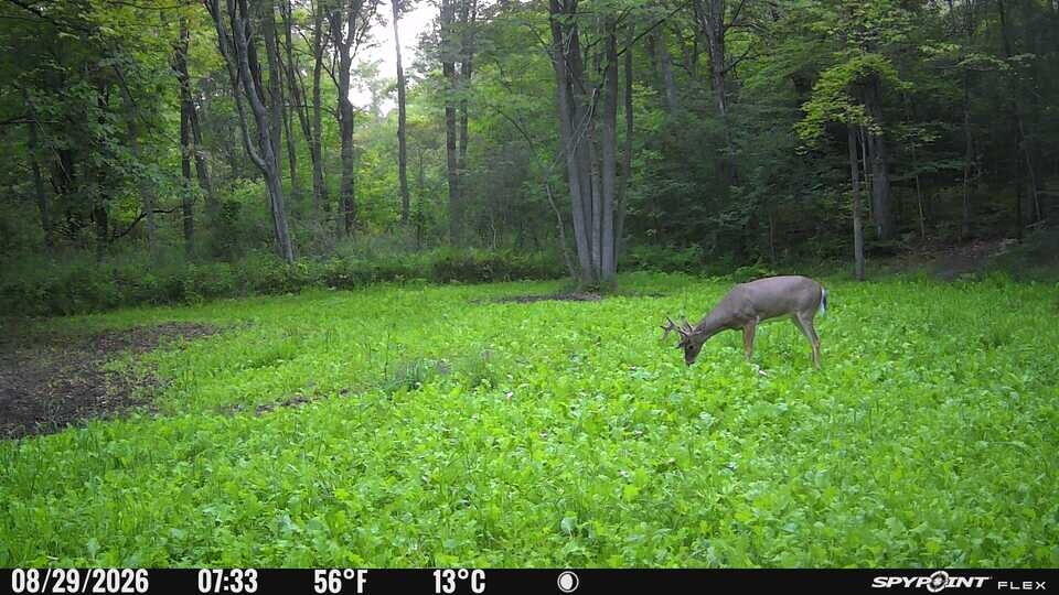 3163 Pillon Road Muskegon MI 49445