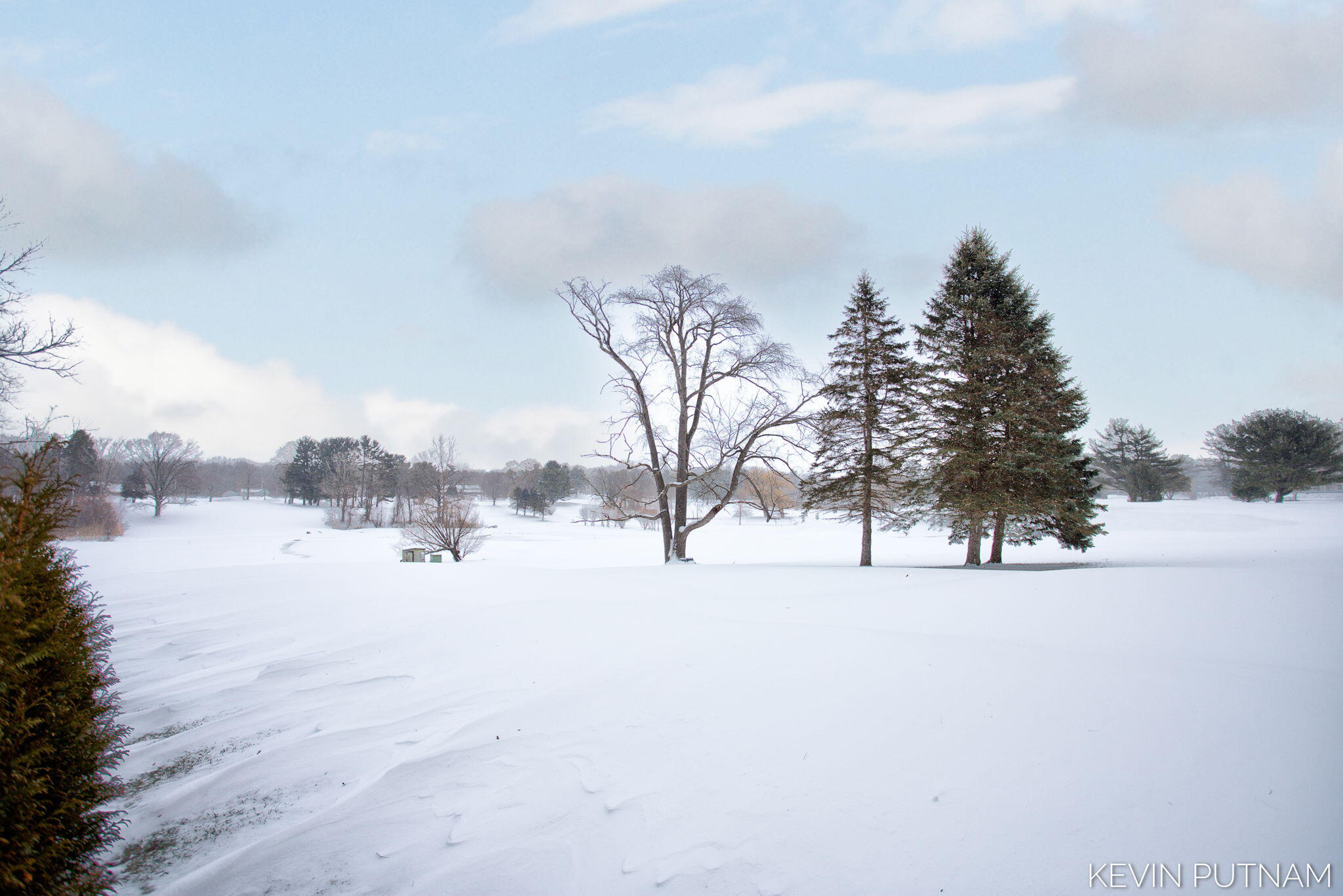 6515 134th Ave Avenue Saugatuck MI 49453