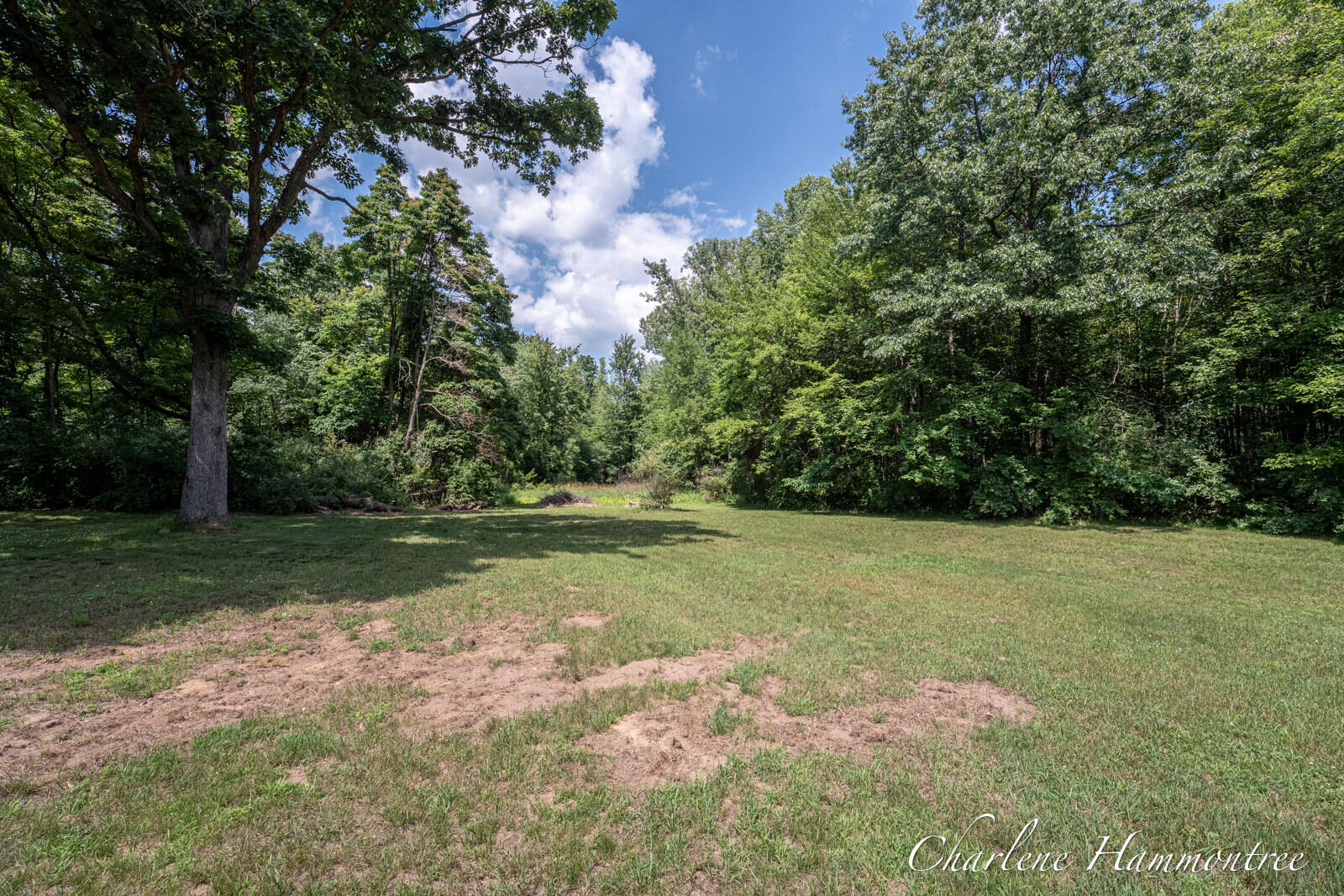8430 Nugent Avenue NE Rockford MI 49341